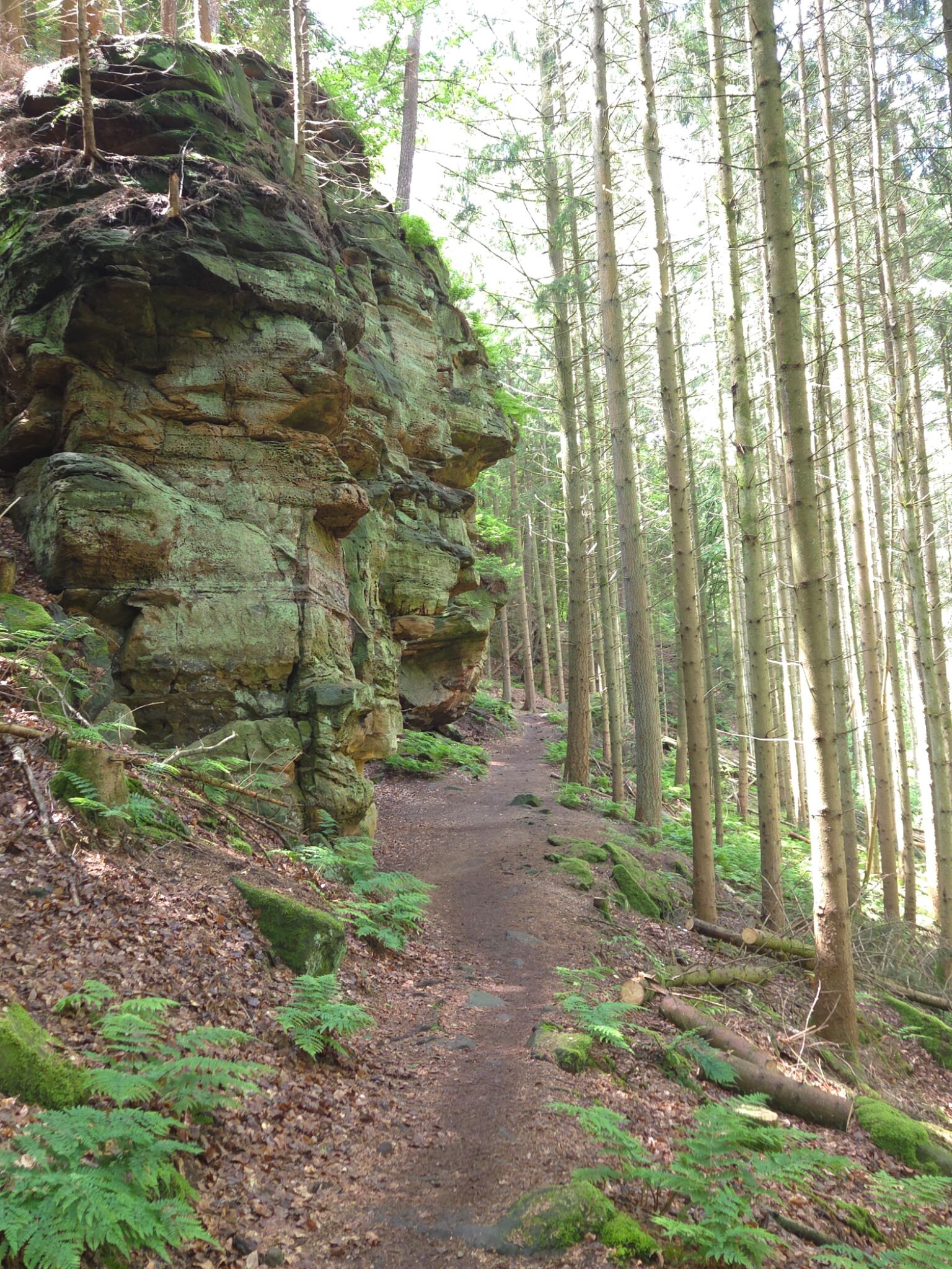 Mullerthal extra tour B