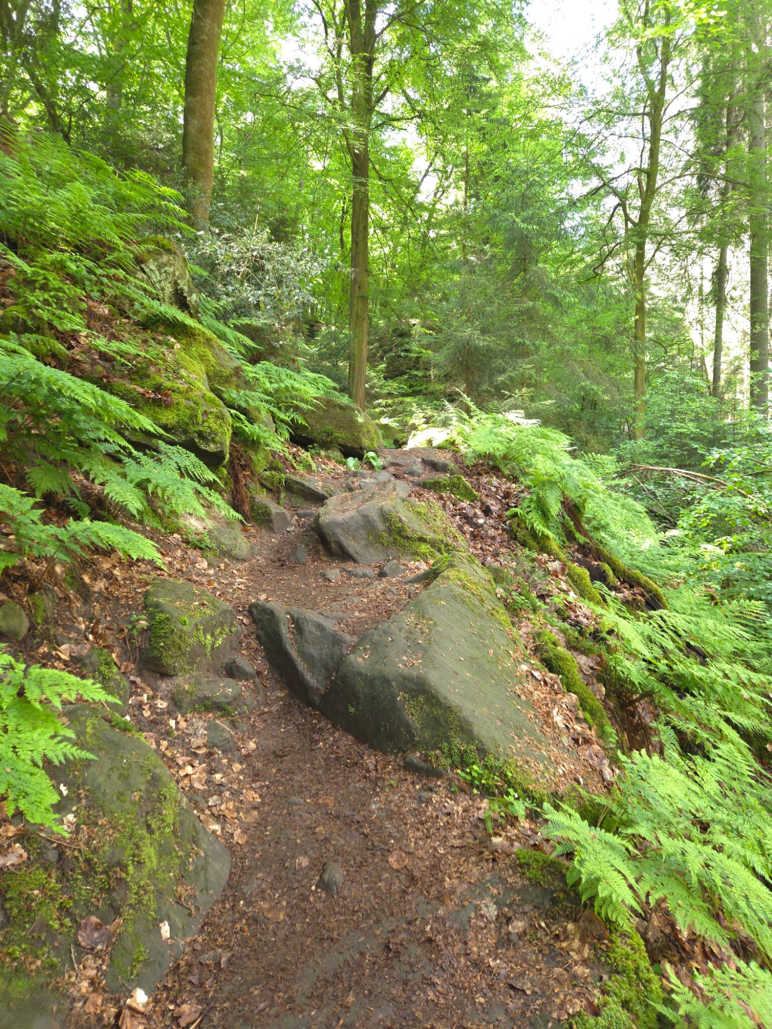 Mullerthal extra tour B