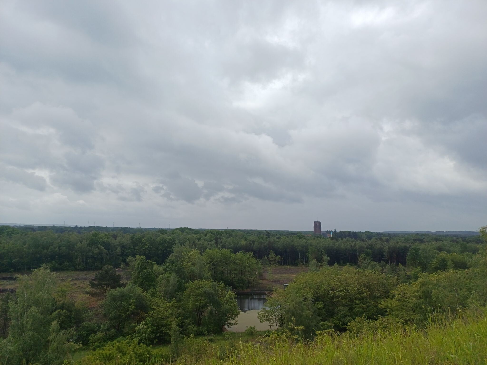 Terhills - Duinengordel · Nationaal park Hoge Kempen etappe 3