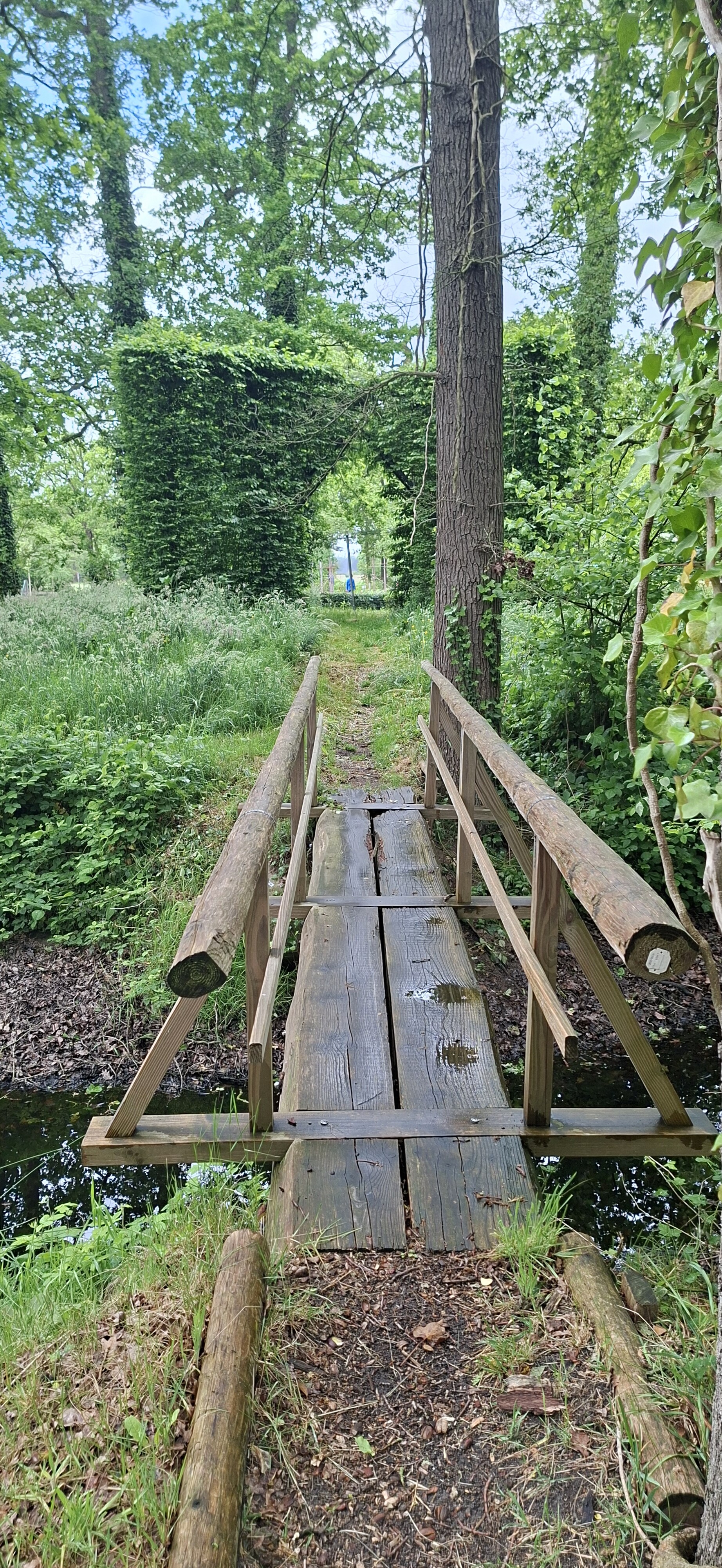 Achterveld- Hoevelaken