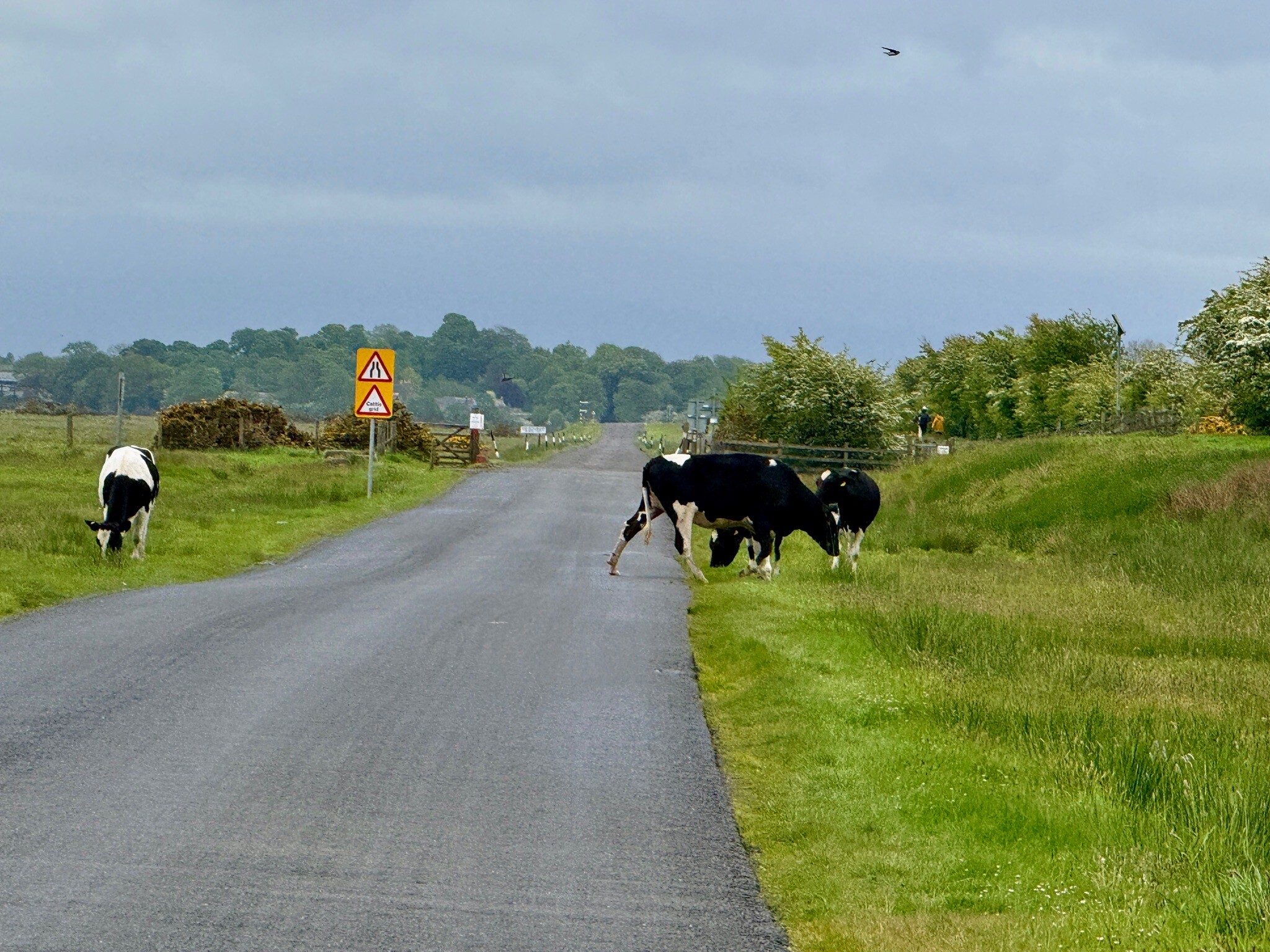 Solway Coast National Landscape