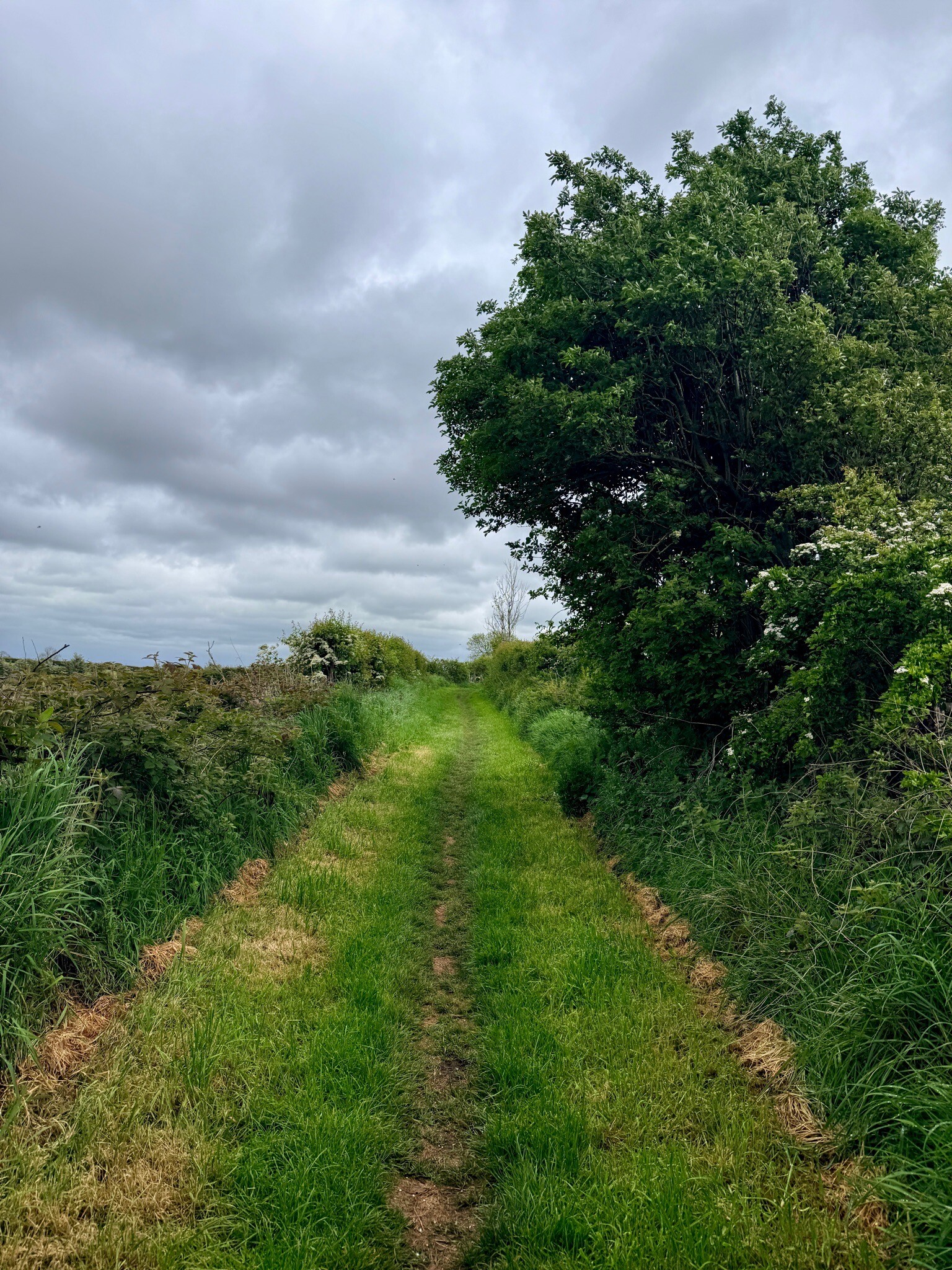 Solway Coast National Landscape