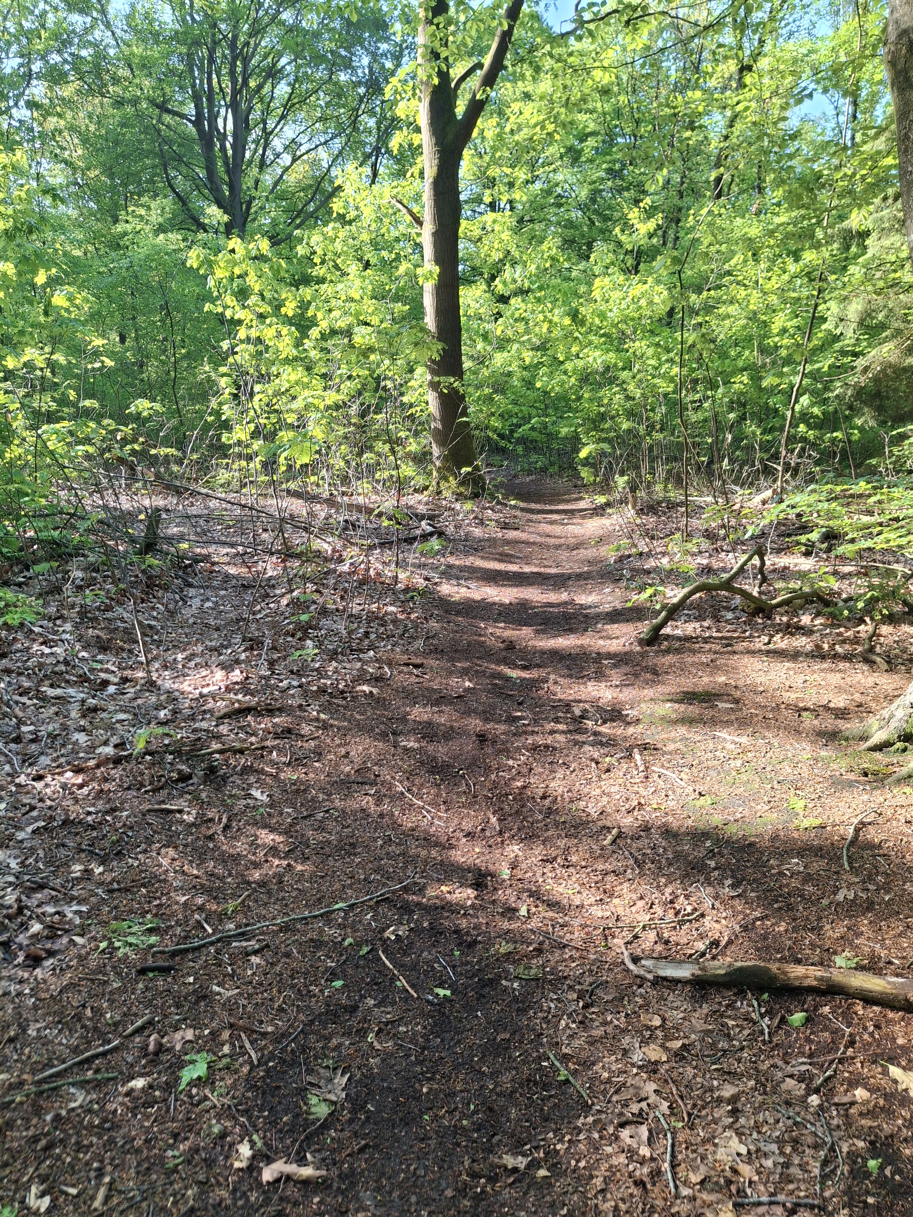 Hondenlosloopgebied gieten