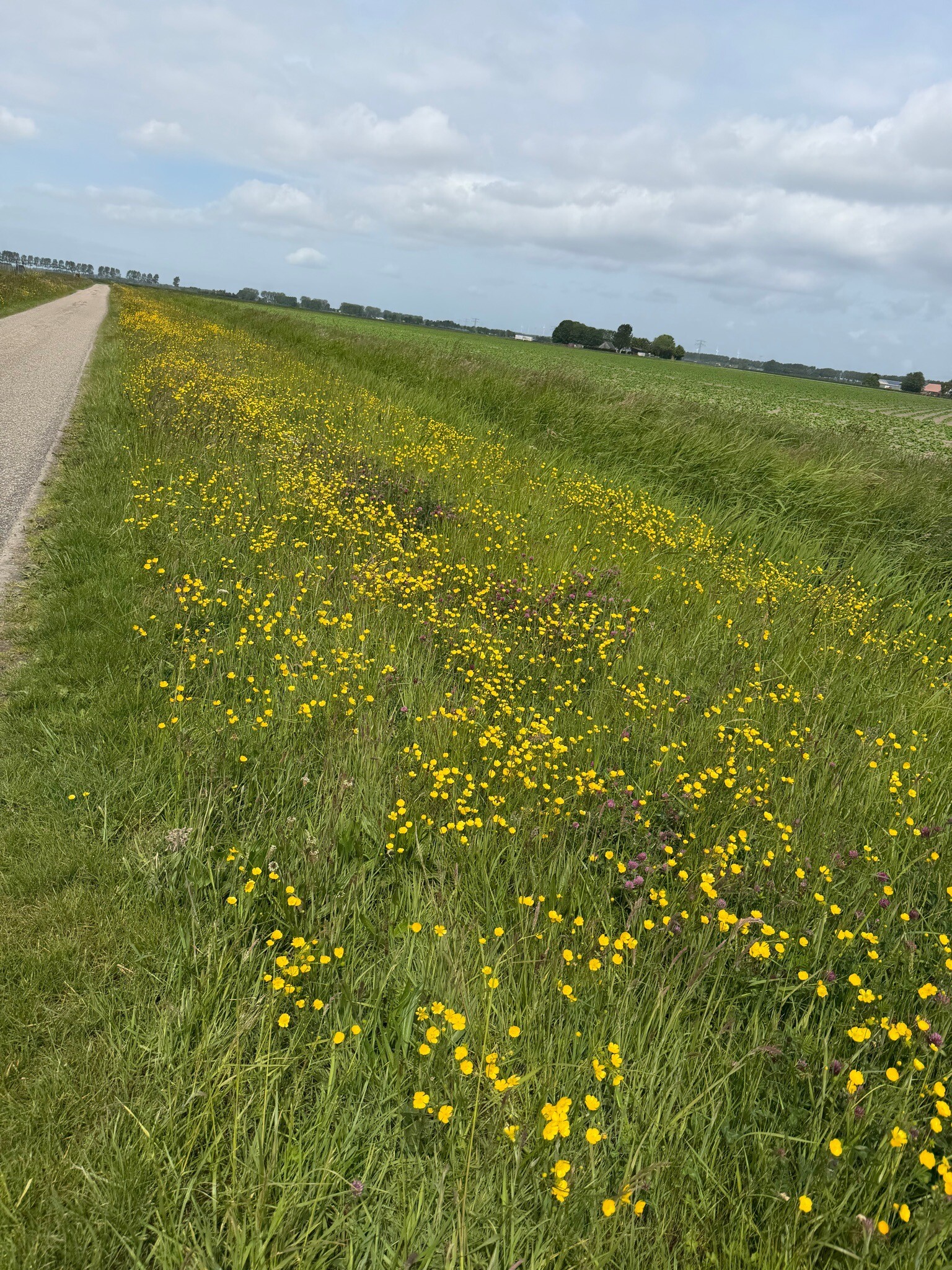 Omloop Zuidzijde