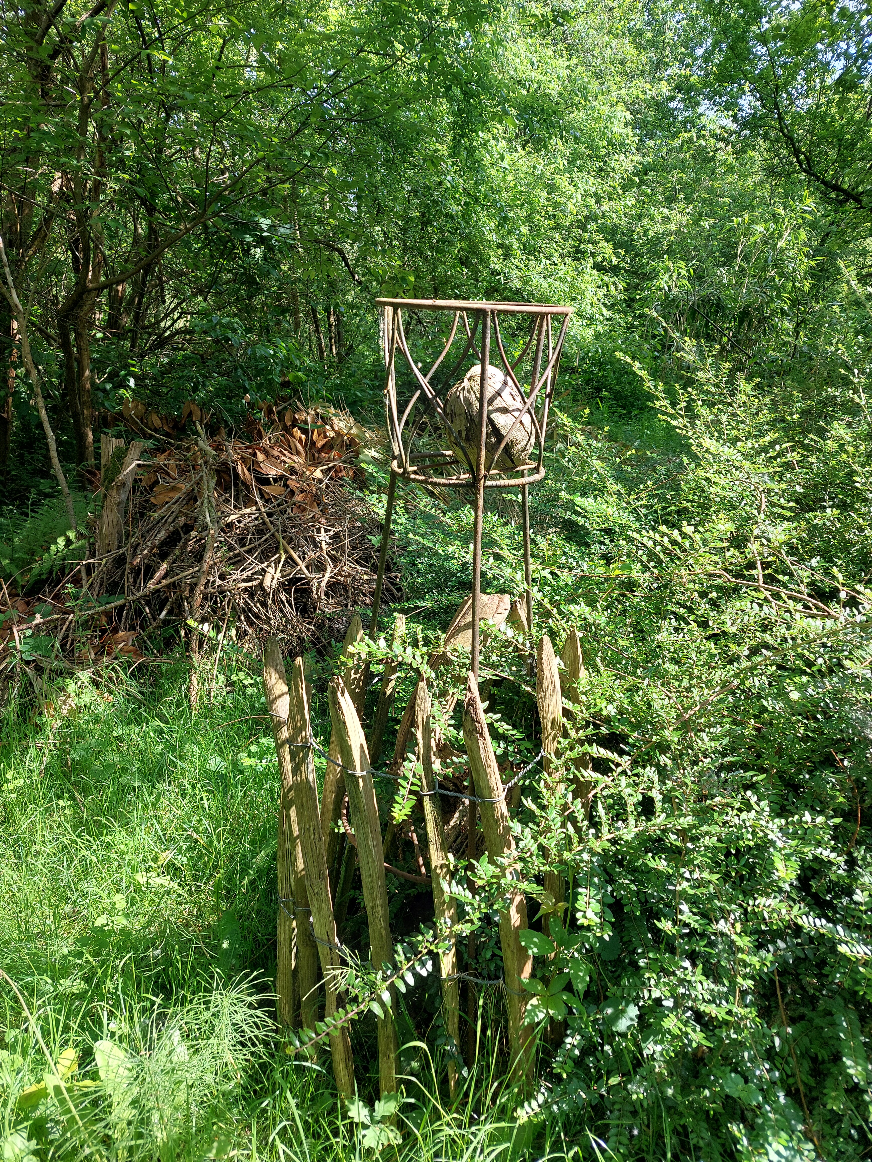 Spoorwegdreef en Gompeldijk wandeling.