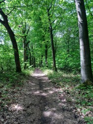 Duinengordel - Thorpark · Nationaal park Hoge Kempen etappe 4