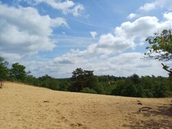 Duinengordel - Thorpark · Nationaal park Hoge Kempen etappe 4