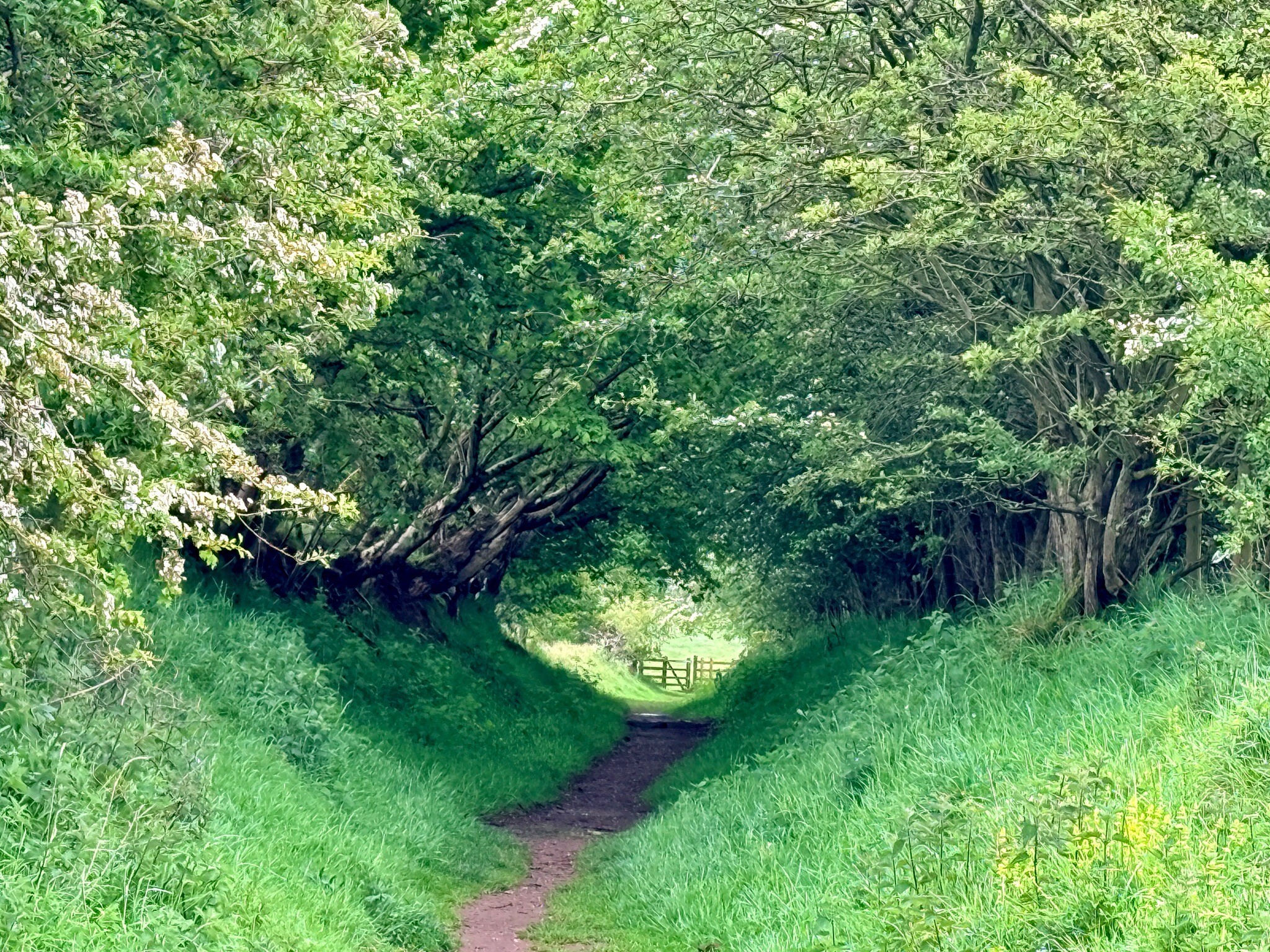 Hadrians Wall: 2.Carlisle-Lanercost