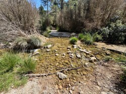 Rondje vanaf camping Port Els op en neer de kloof van Els Estrets