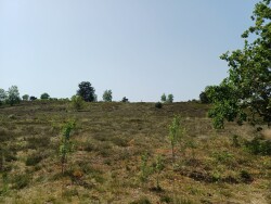 Klompenpad Vosbergenpad