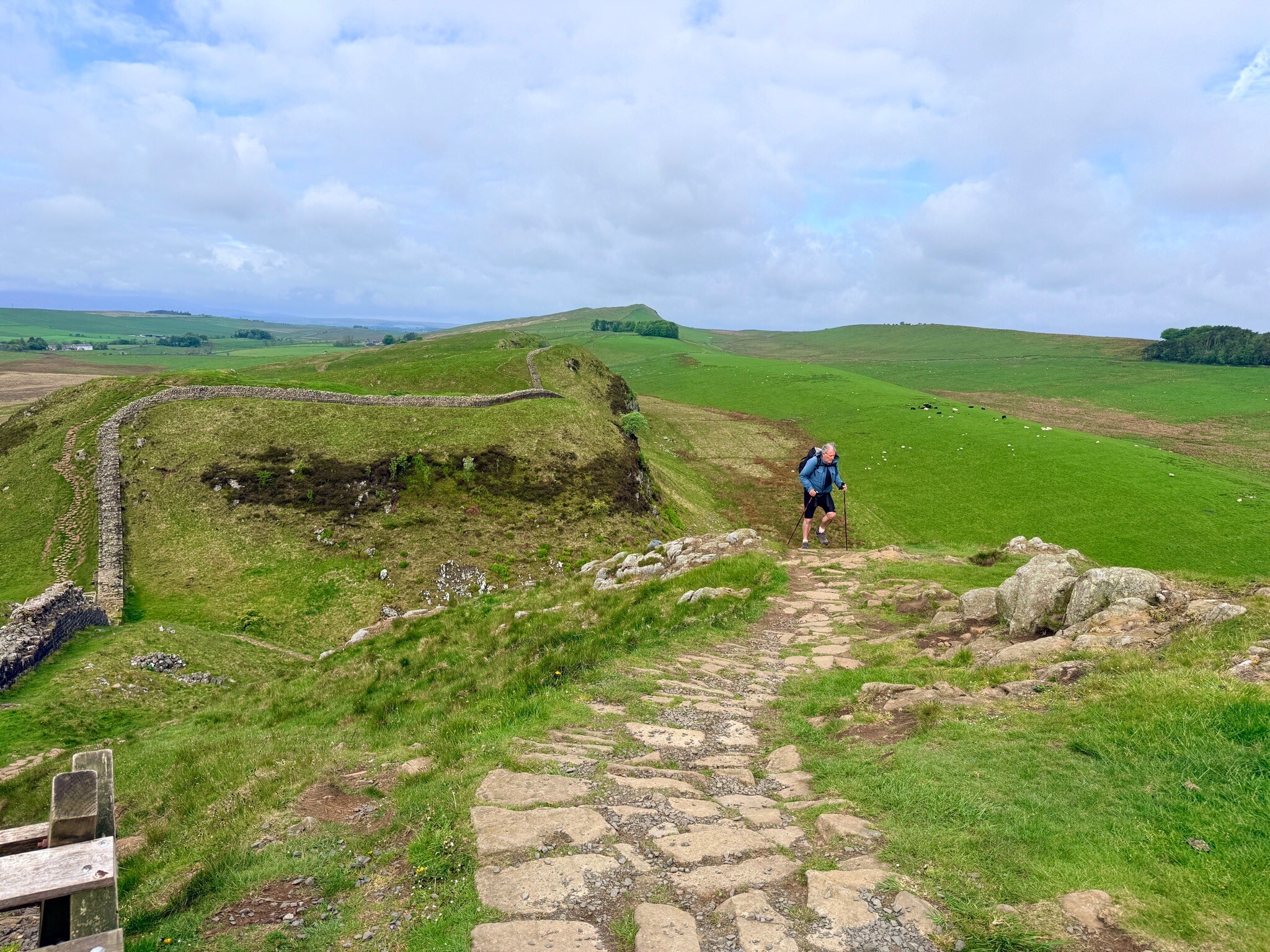 Vindolanda & Hadrian's Wall Trail