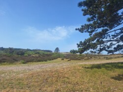 Egmond aan Zee - Groet · Nederlands Kustpad 2 etappe 9
