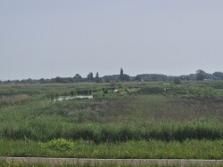 Wormer - Den Ilp · Trekvogelpad etappe 4