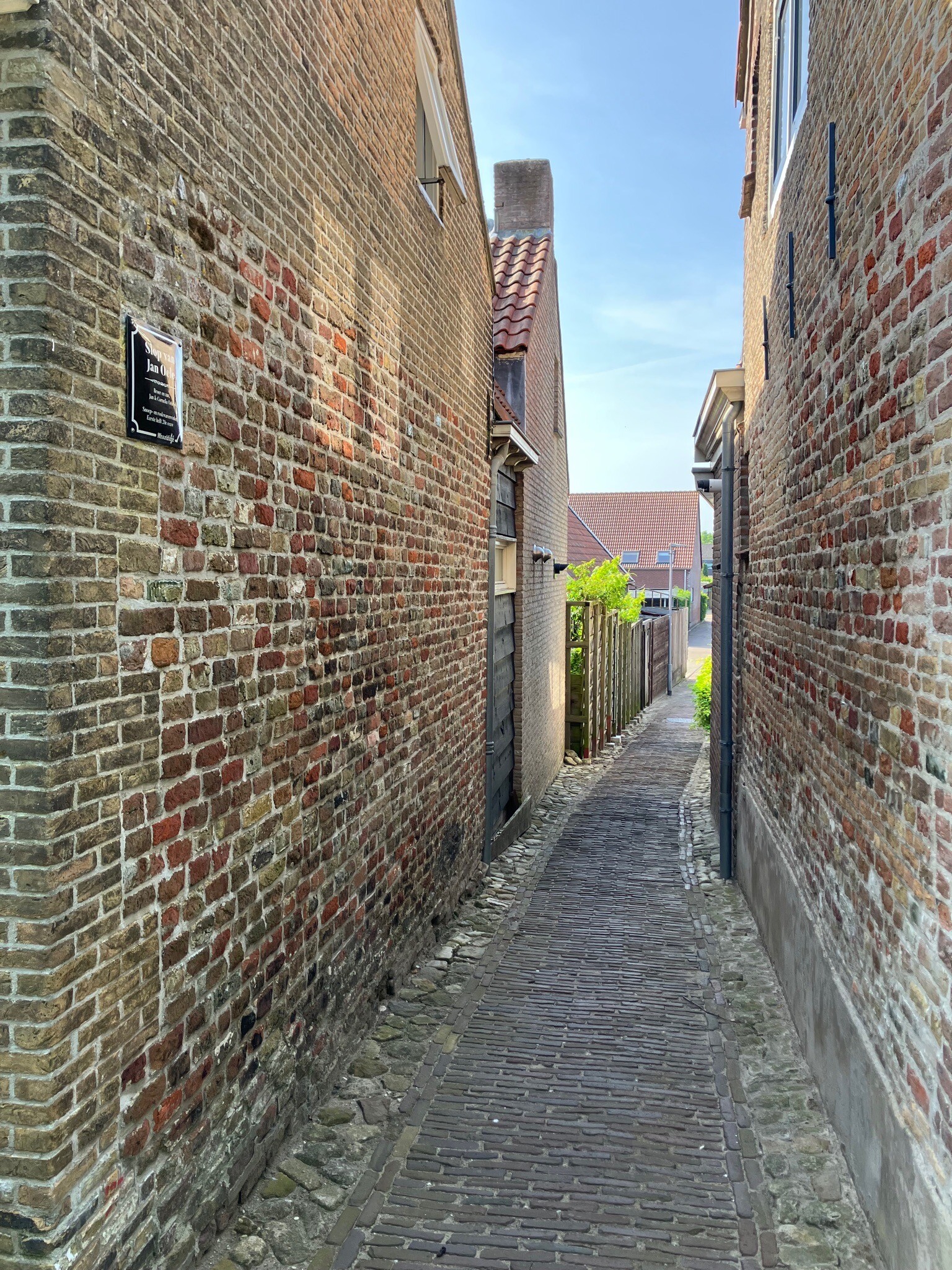 Oosterscheldepad