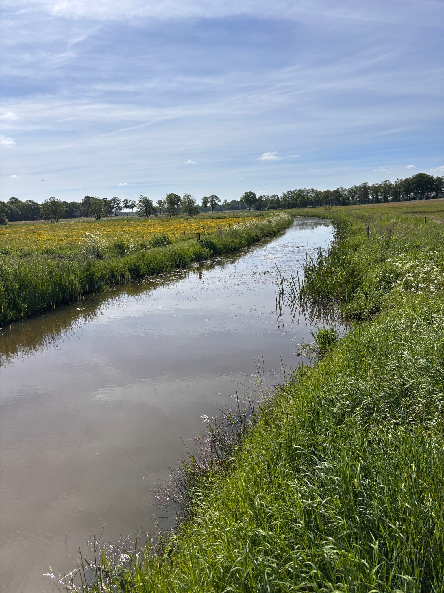 Wandelspoor West