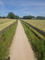 Bad Bentheim - Oldenzaal · Marskramerpad etappe 1
