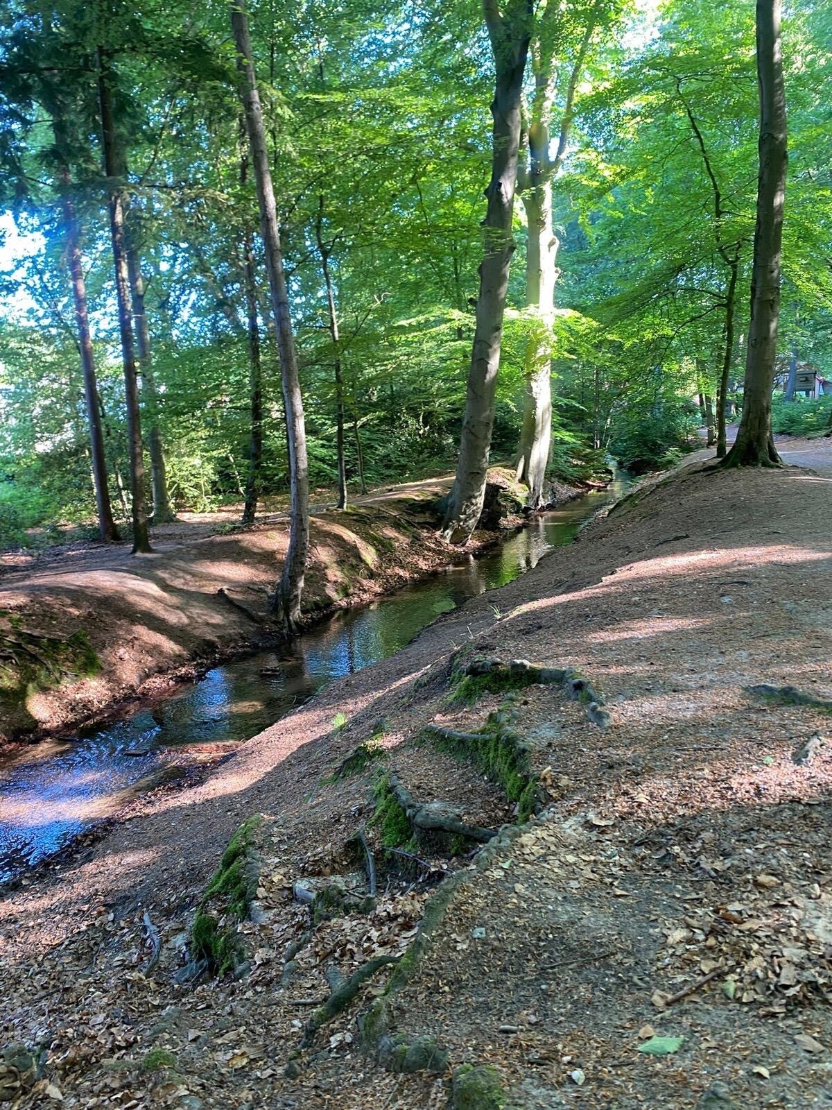 Beekhuizen en stukje Veluwezoom
