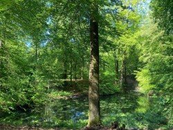 Beekhuizen en stukje Veluwezoom
