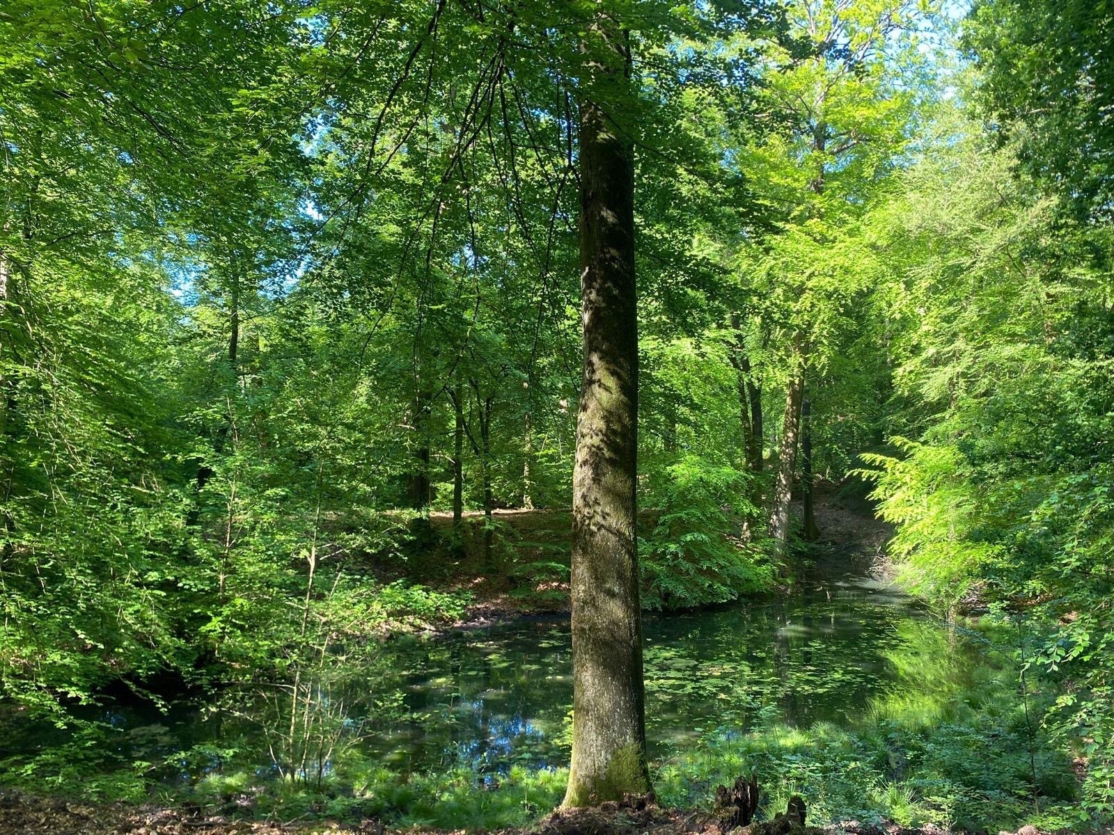 Beekhuizen en stukje Veluwezoom