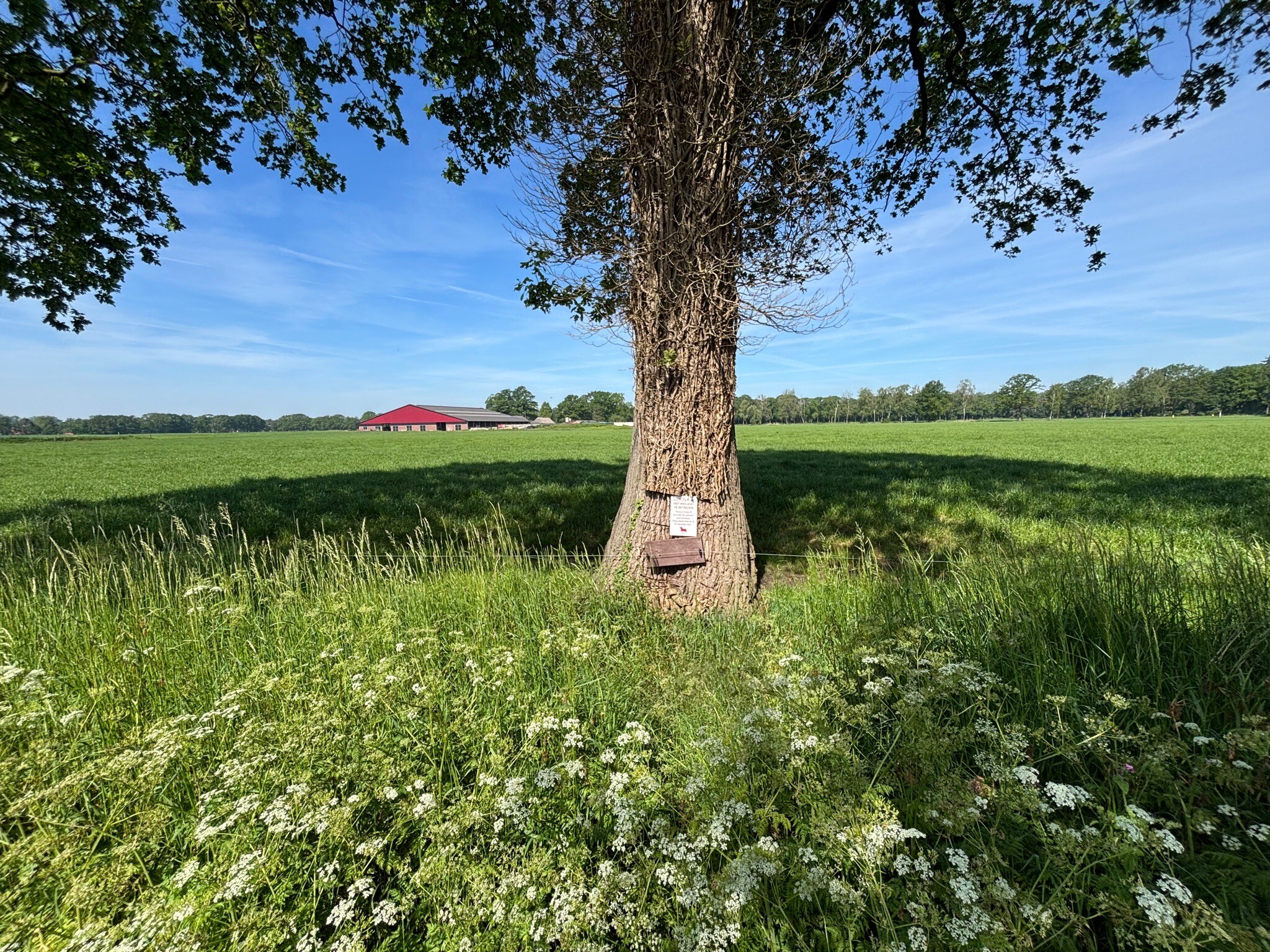 Vorden - Zelhem · Pieterpad etappe 14