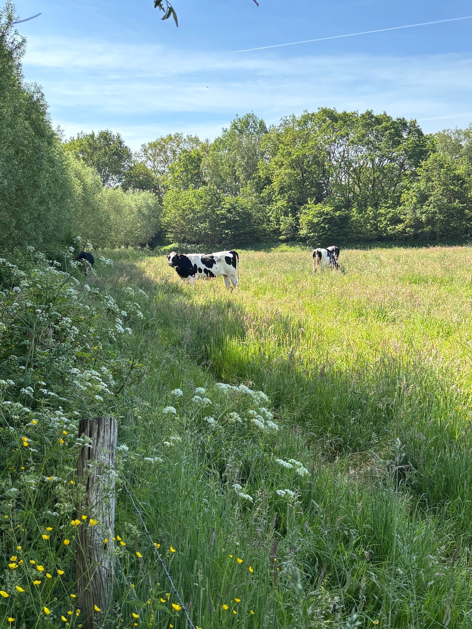 Vorden - Zelhem · Pieterpad etappe 14