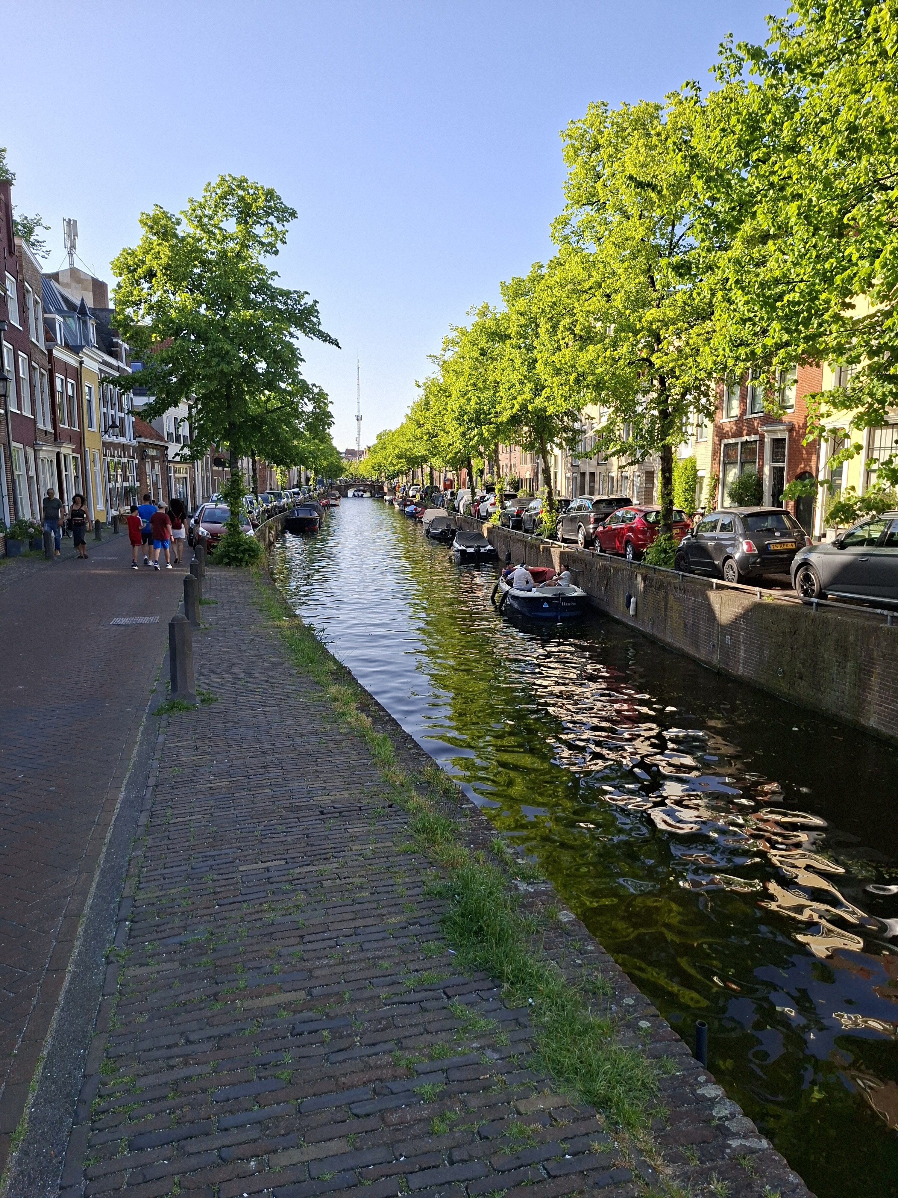 Teyler's ommetje