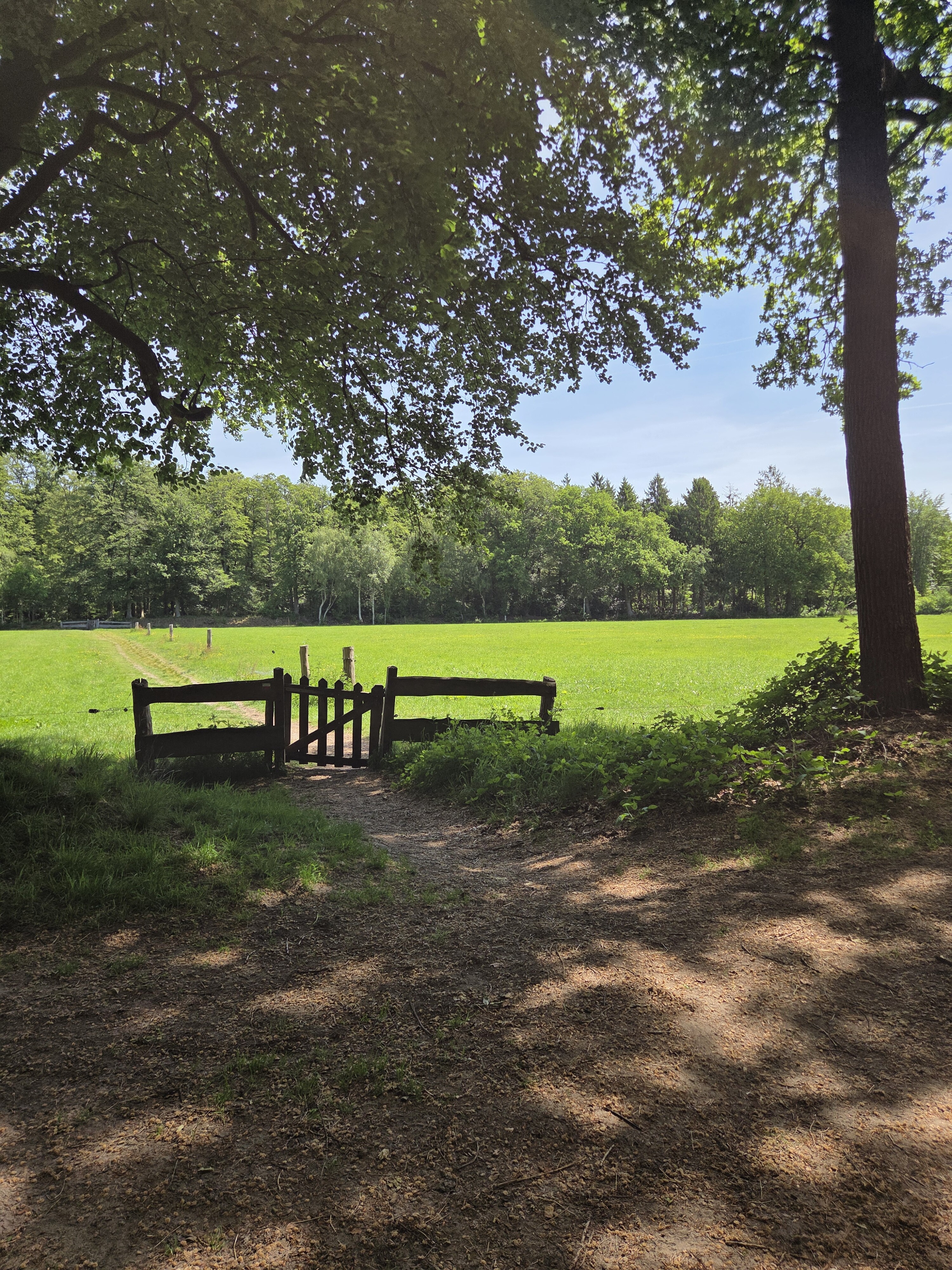 Wandelroute kortweg Olterterp