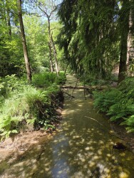 Wandelroute kortweg Olterterp