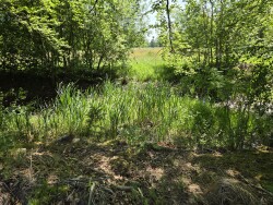 Wandelroute kortweg Olterterp