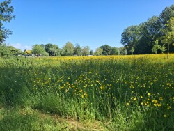 Delfzijl - Appingedam · Roots Natuurpad etappe 1