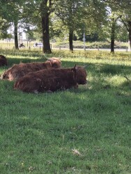 Delfzijl - Appingedam · Roots Natuurpad etappe 1