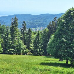 Schirmeck - Le Hohwald · GR5 etappe 46