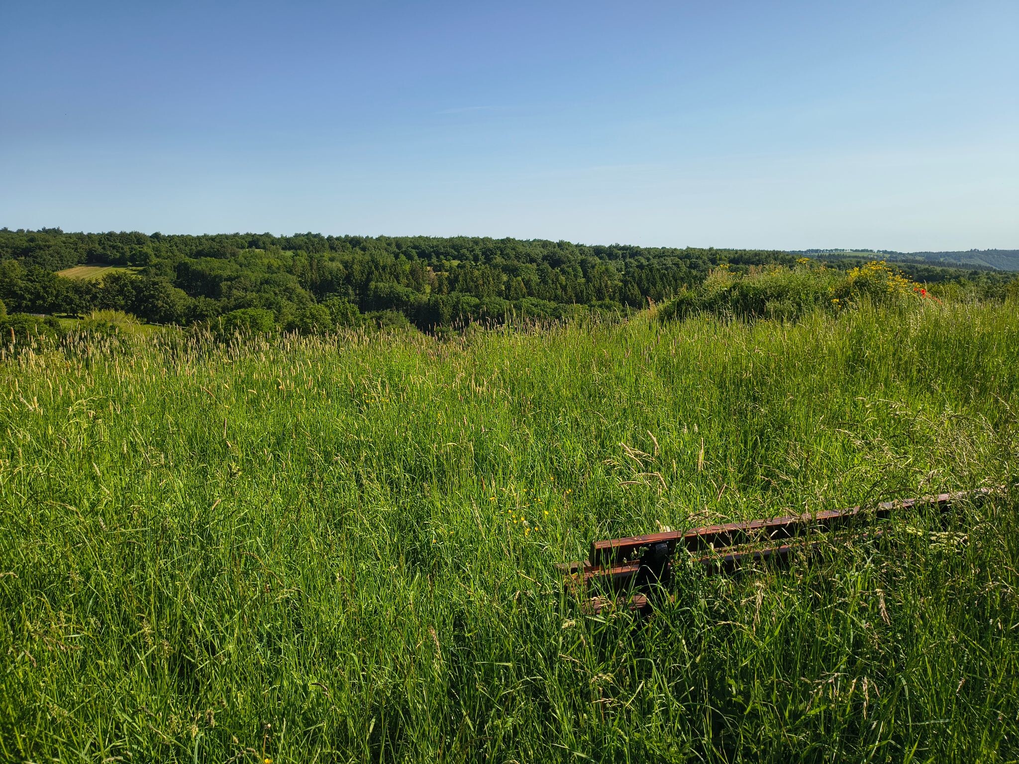 Flurheckenweg Eicherscheid