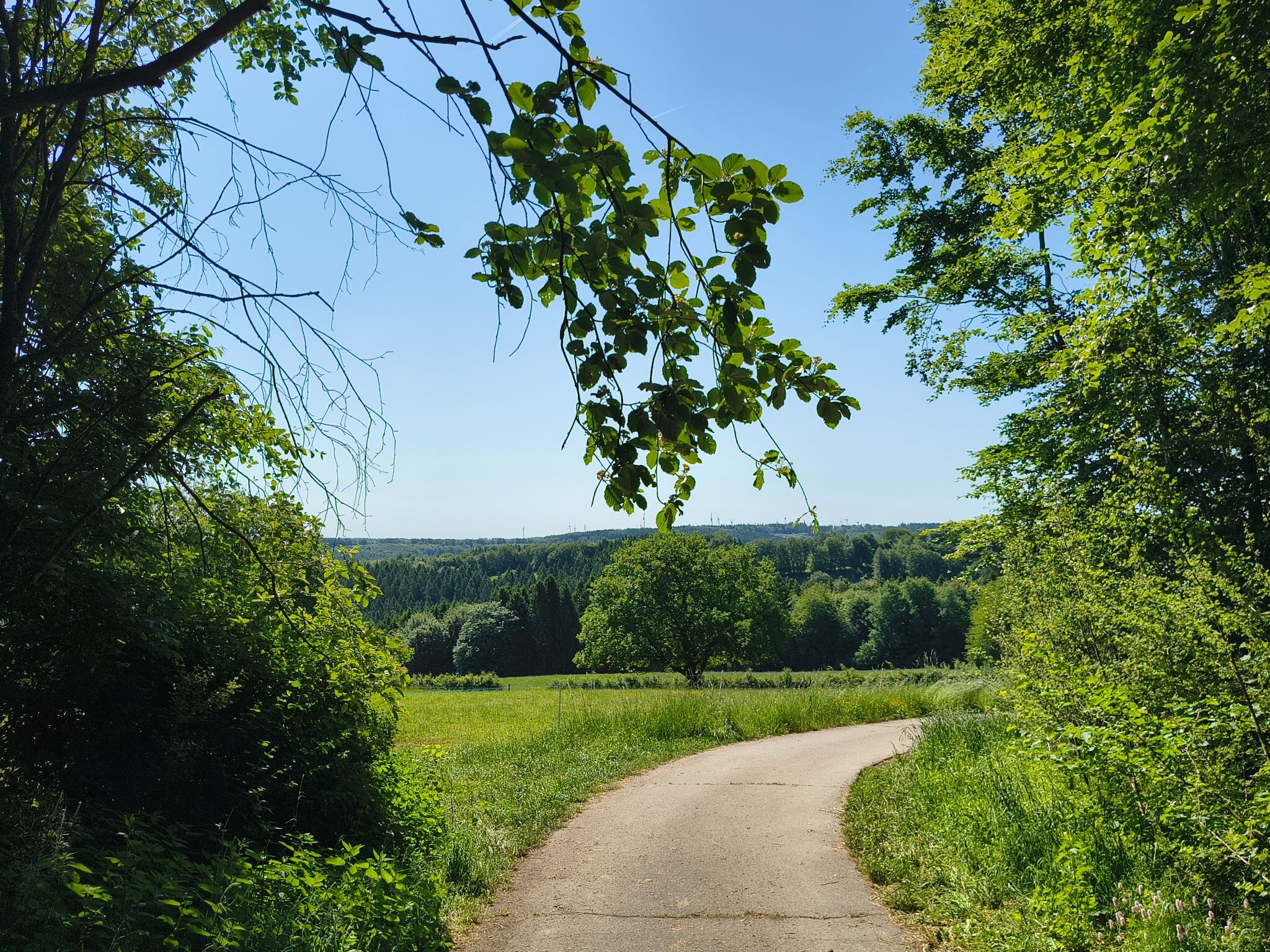 Flurheckenweg Eicherscheid