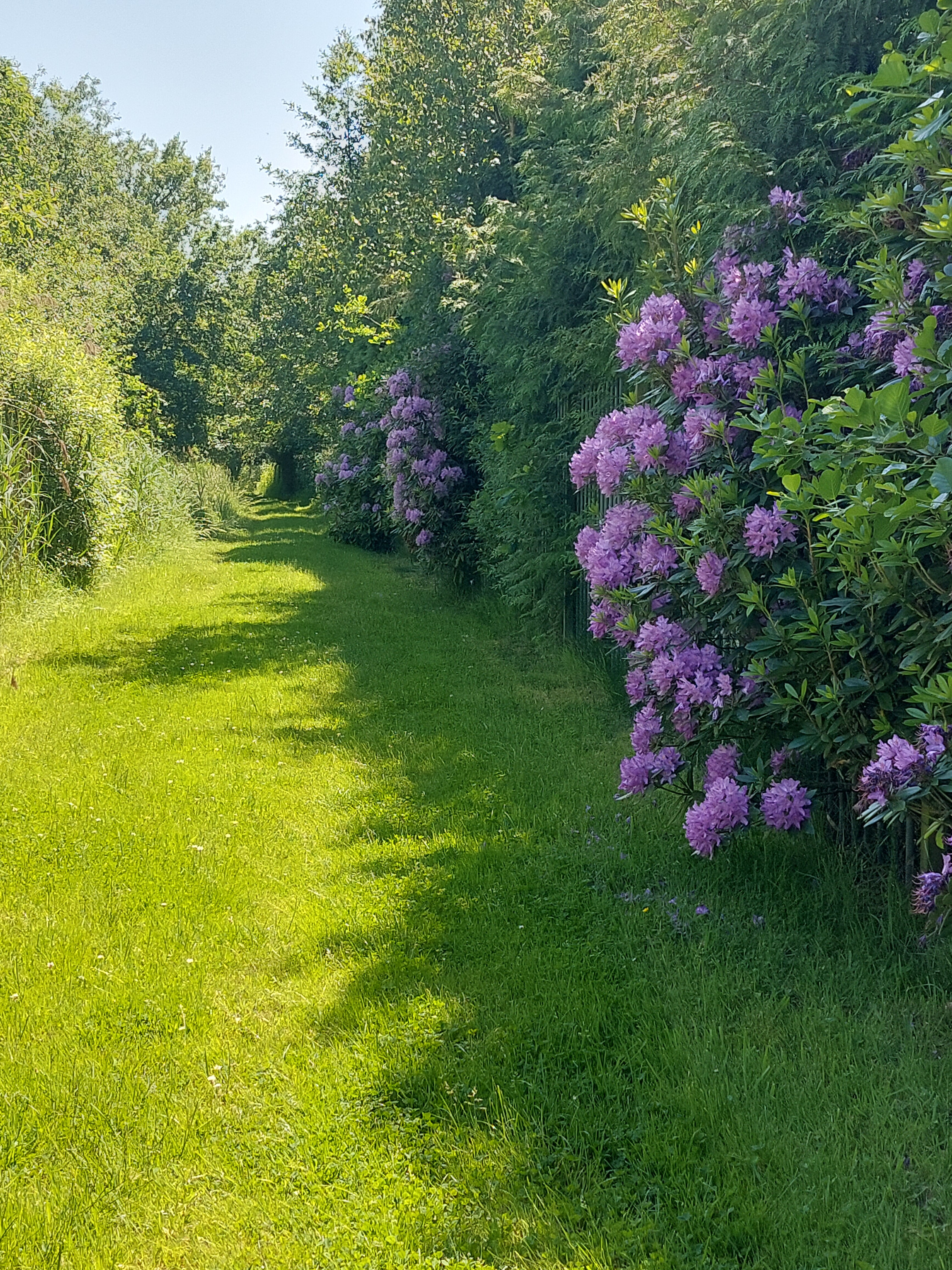 Balens Broek en Molse Nete Vallei.