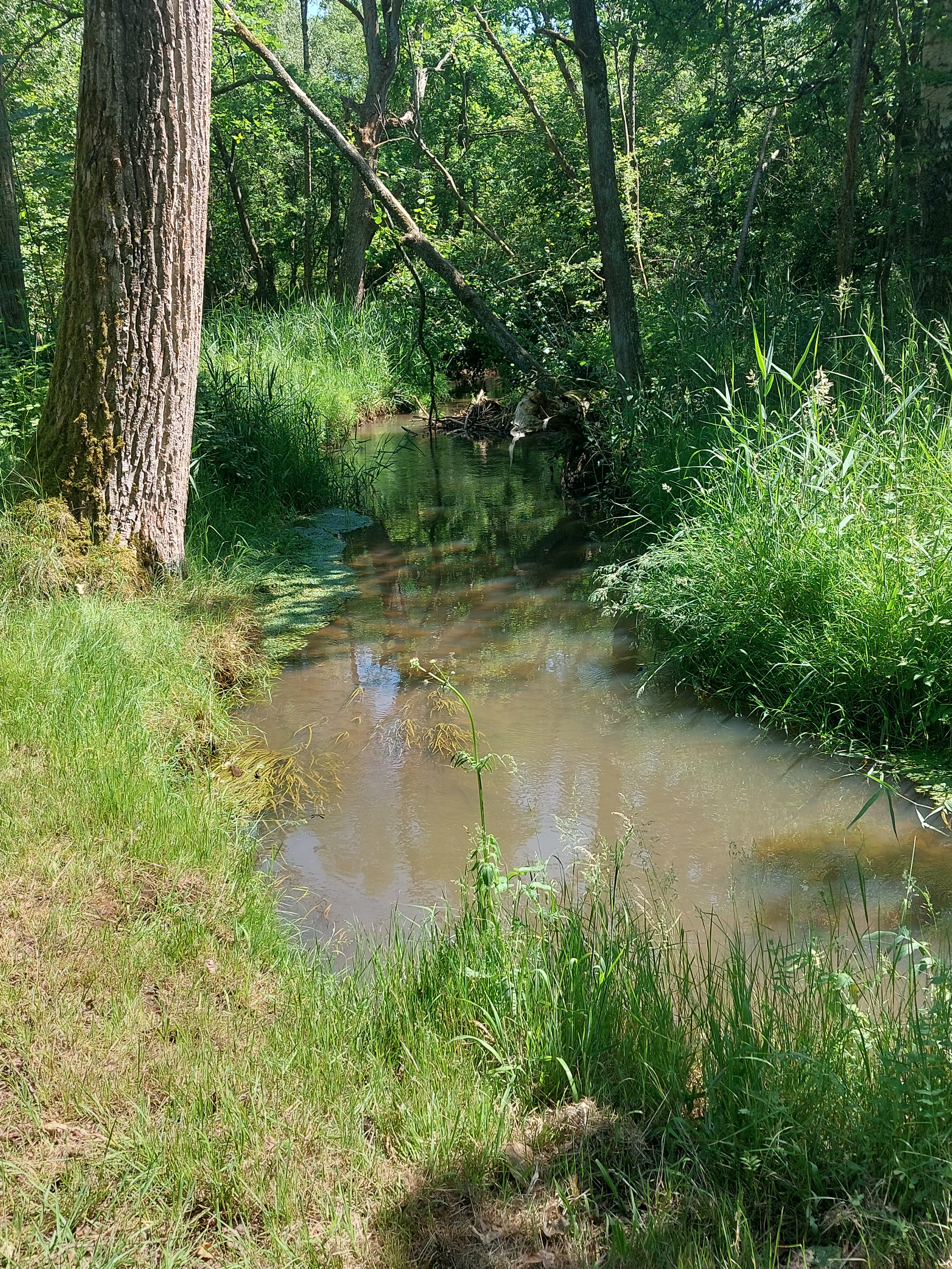 Balens Broek en Molse Nete Vallei.