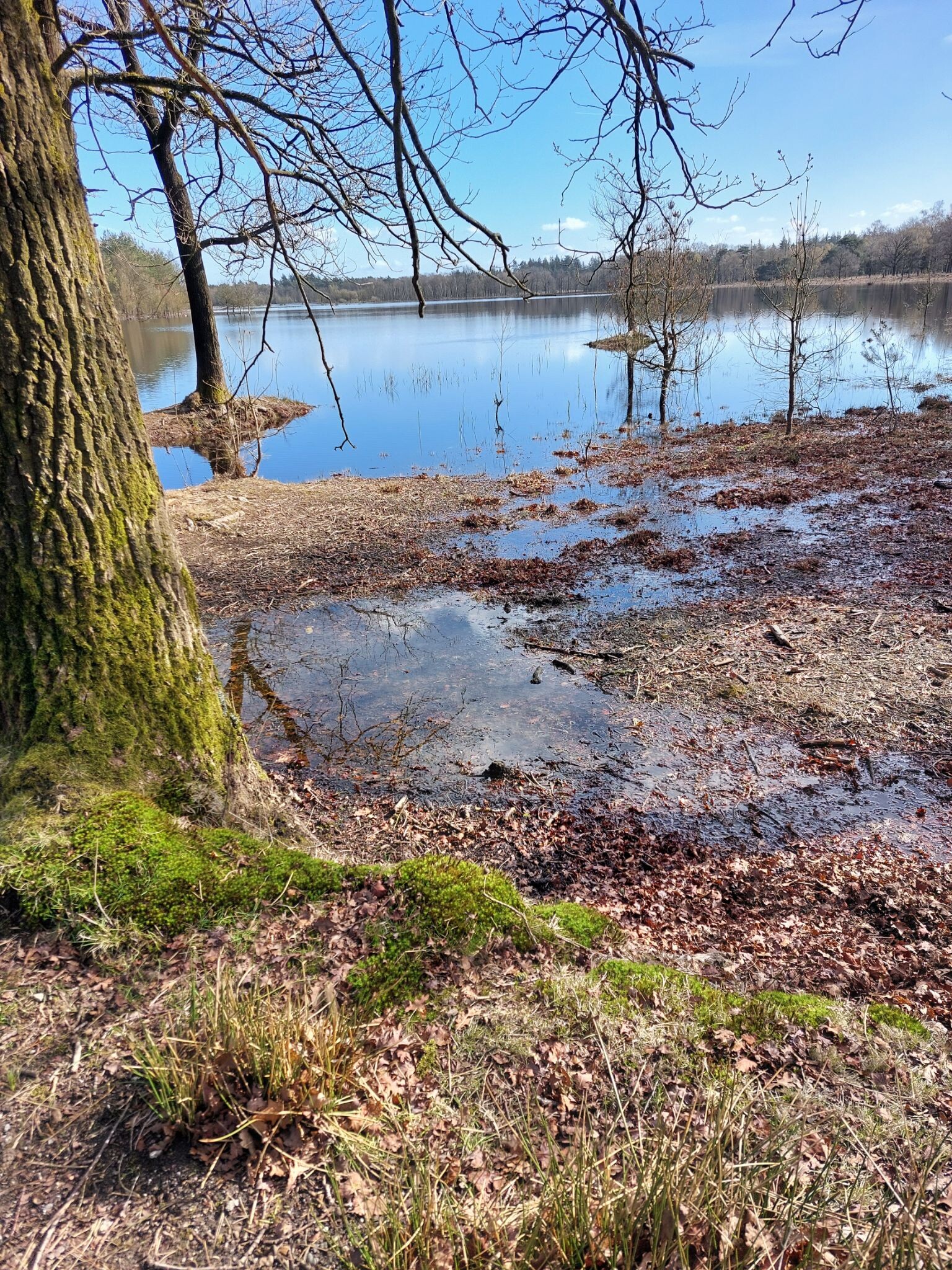 Wandelroute De Steen van Mariken