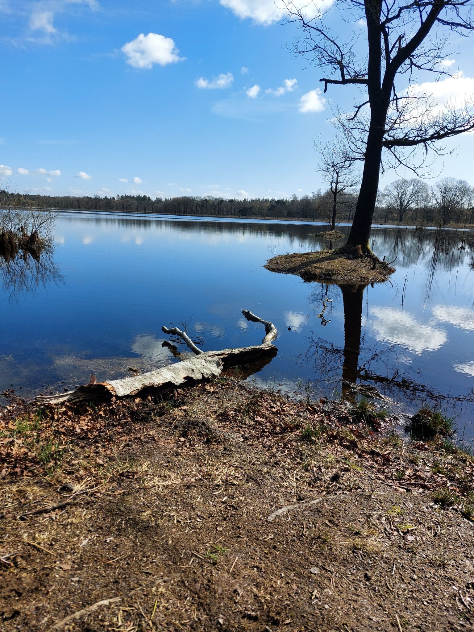 Wandelroute De Steen van Mariken