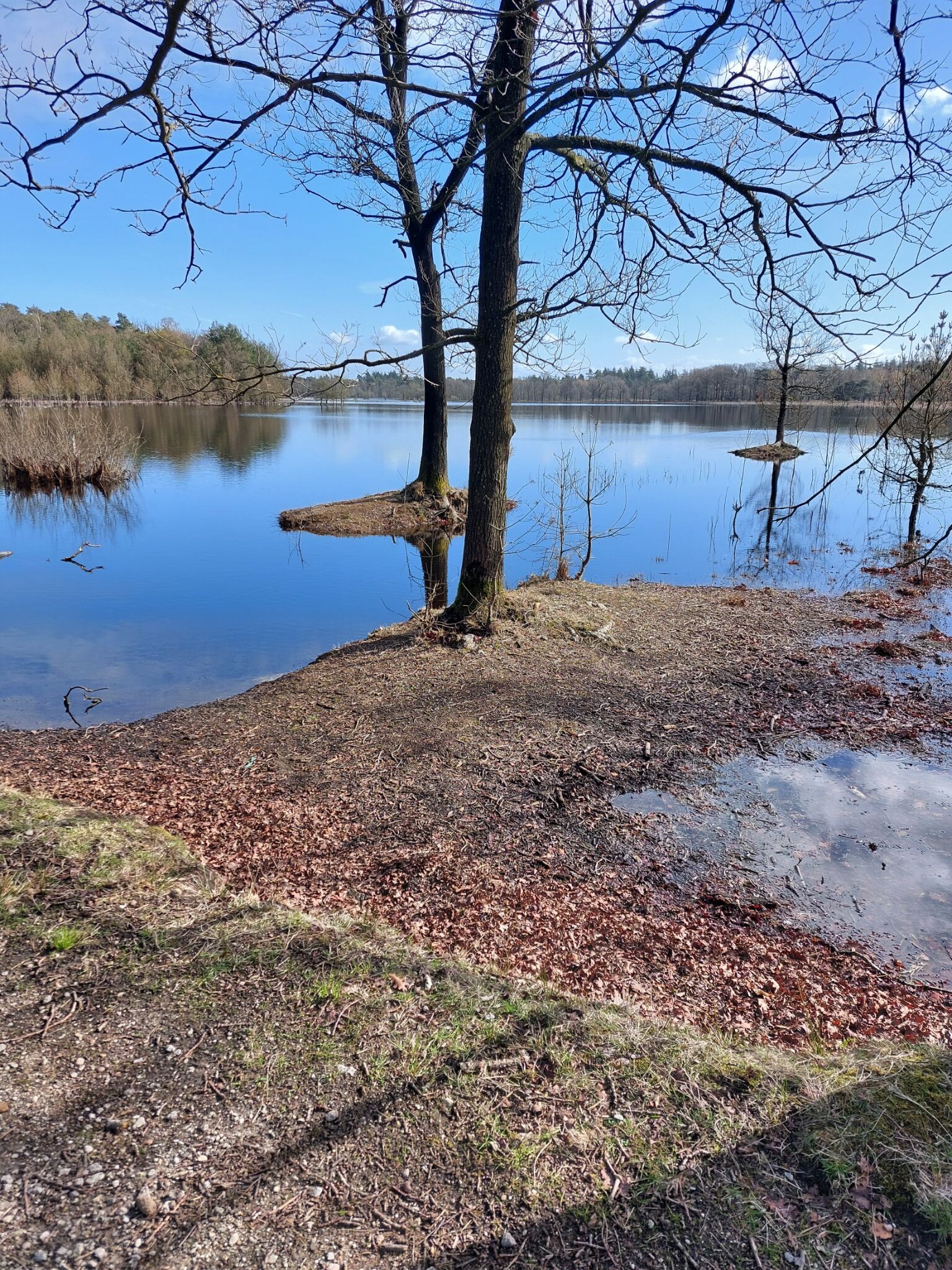 Wandelroute De Steen van Mariken