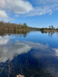 Wandelroute De Steen van Mariken