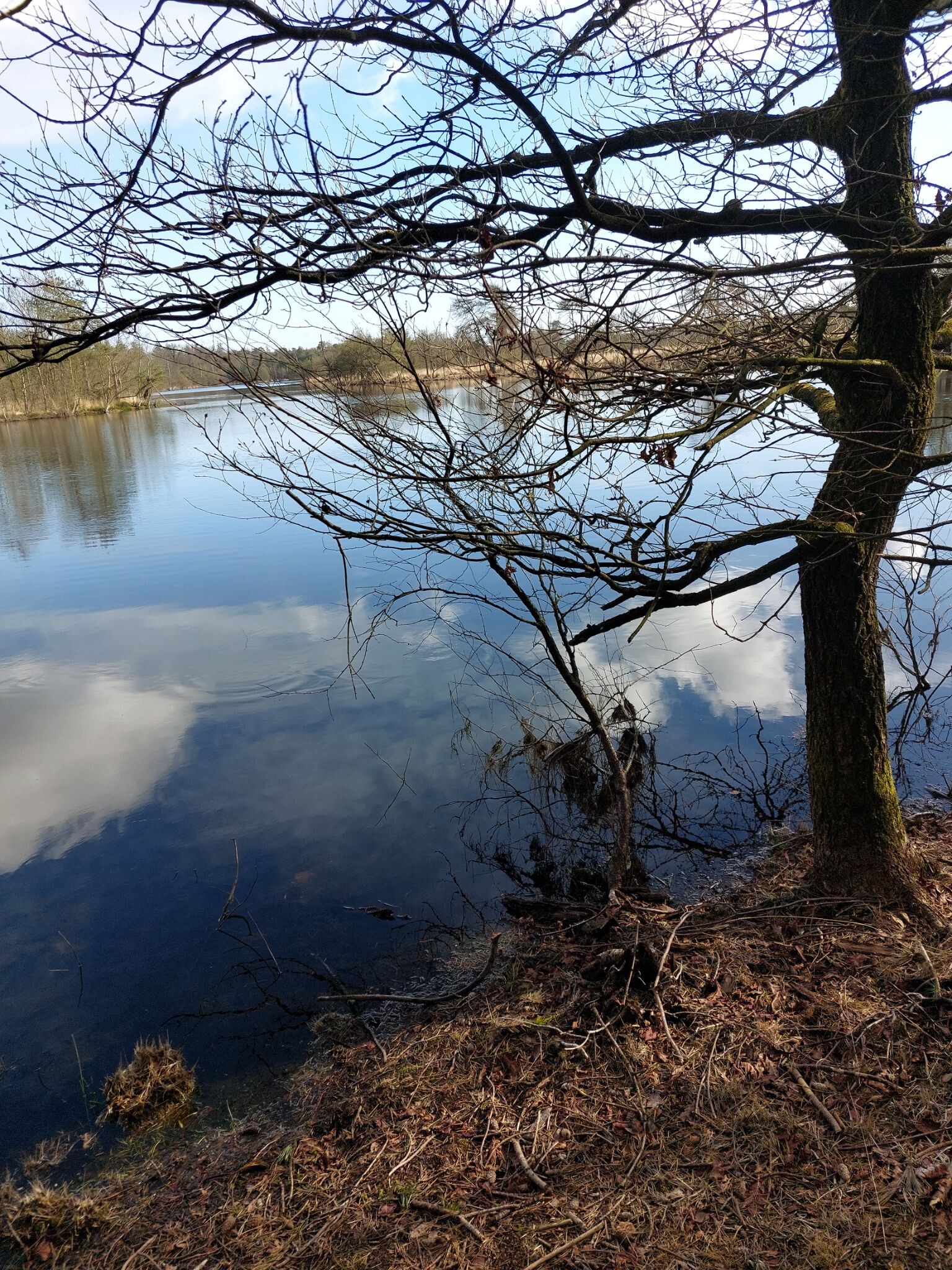 Wandelroute De Steen van Mariken