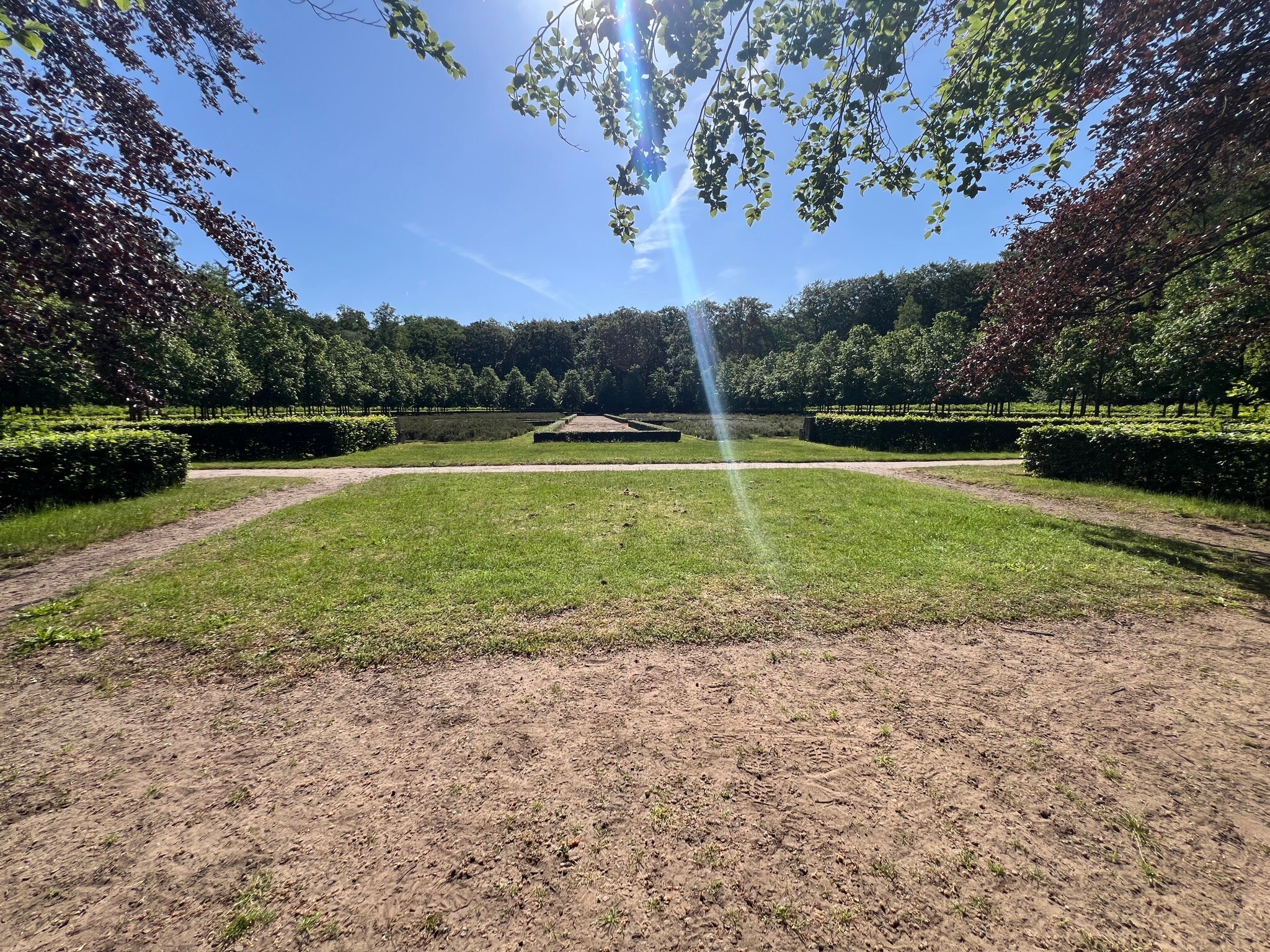 Trekvogelpad