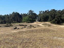 Otterlo - Hoenderloo · Trekvogelpad etappe 17