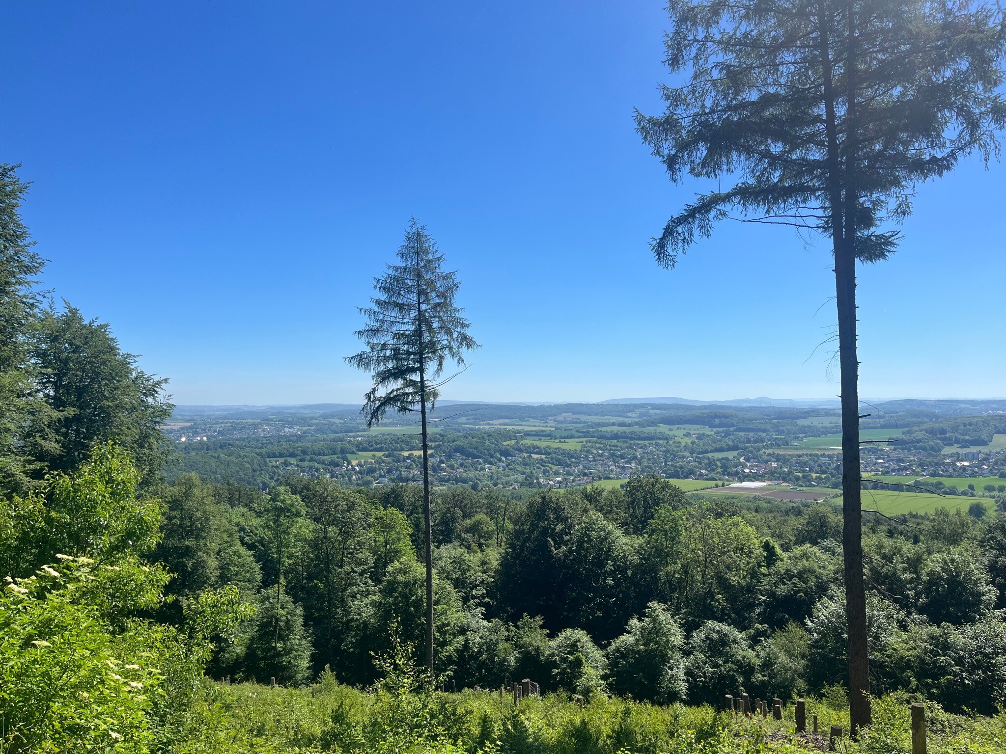 X3 Cheruskerweg
