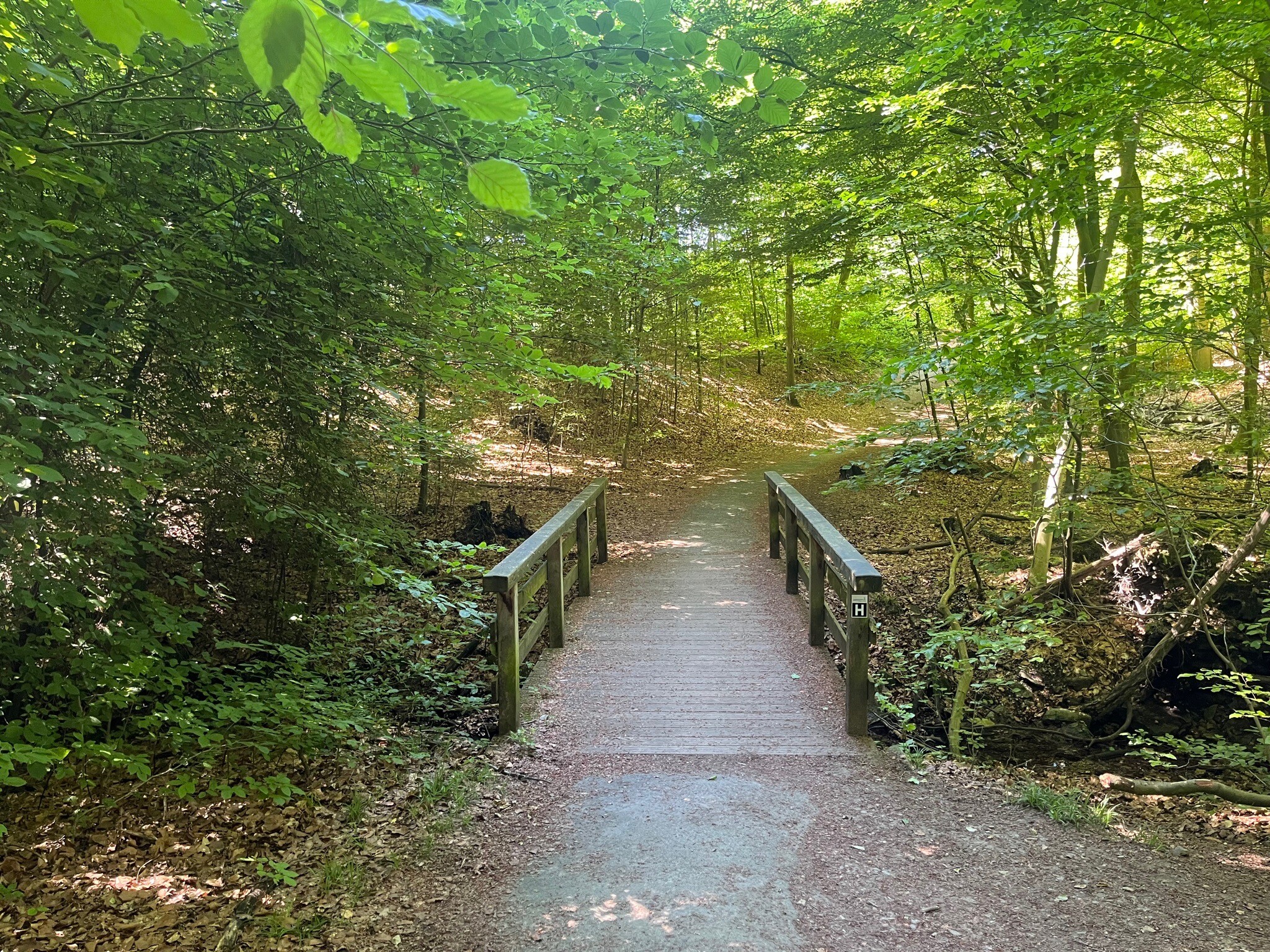 Oerlinghausen - het Hermannsmonument · Hermannsweg etappe 8