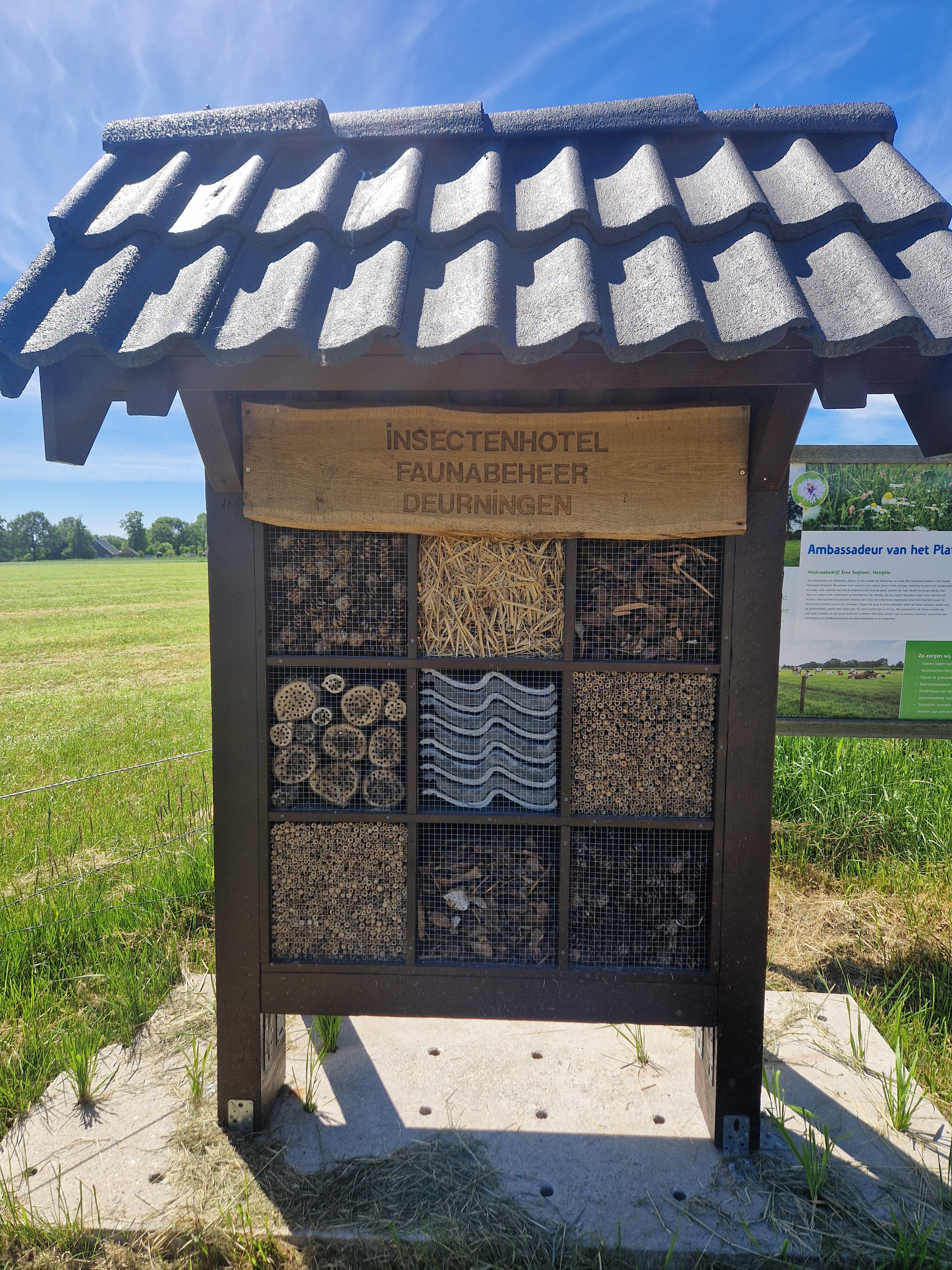 Marskramerpad