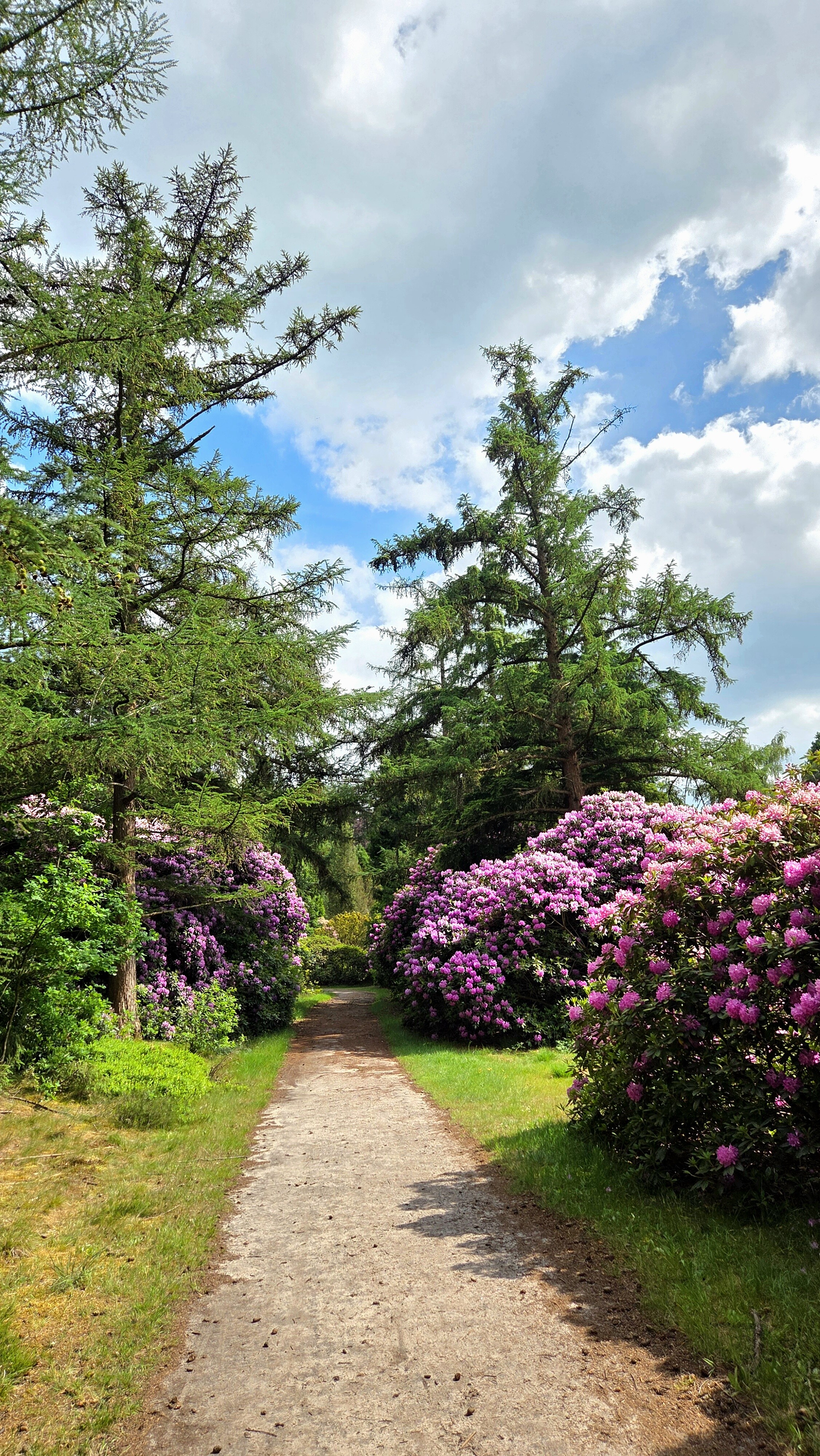 Wandelroute Evertsbos