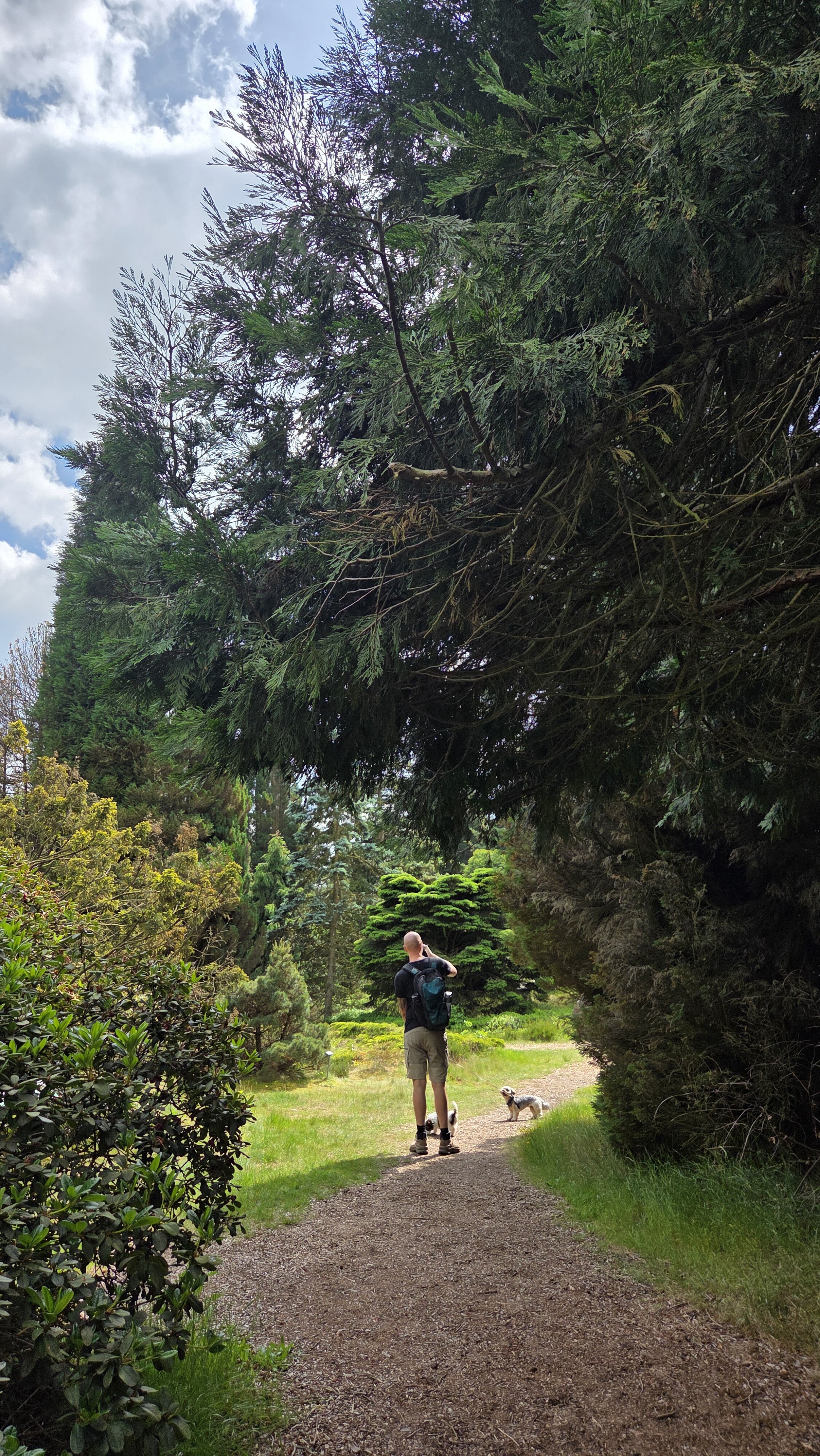 Wandelroute Evertsbos