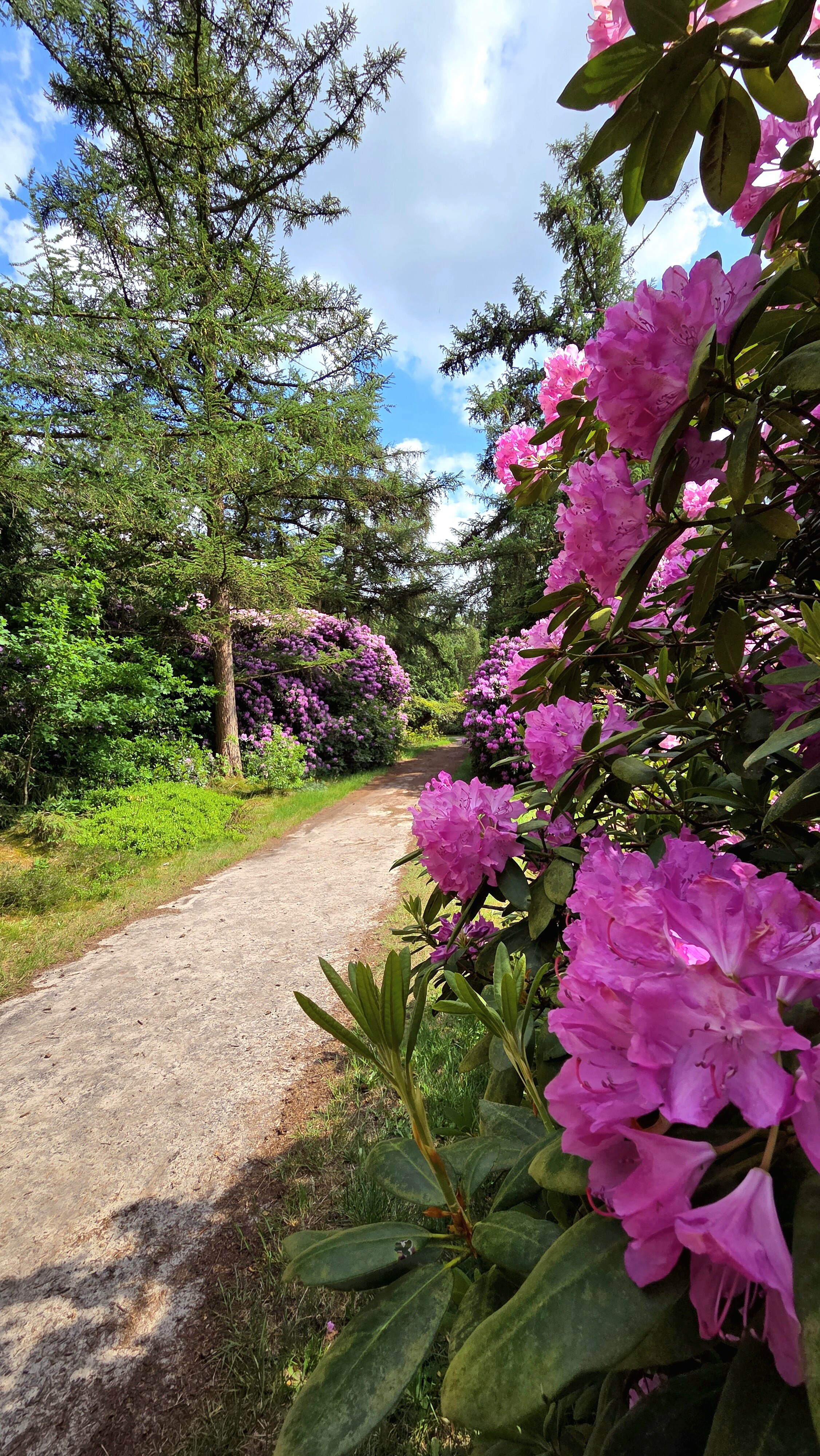 Wandelroute Evertsbos