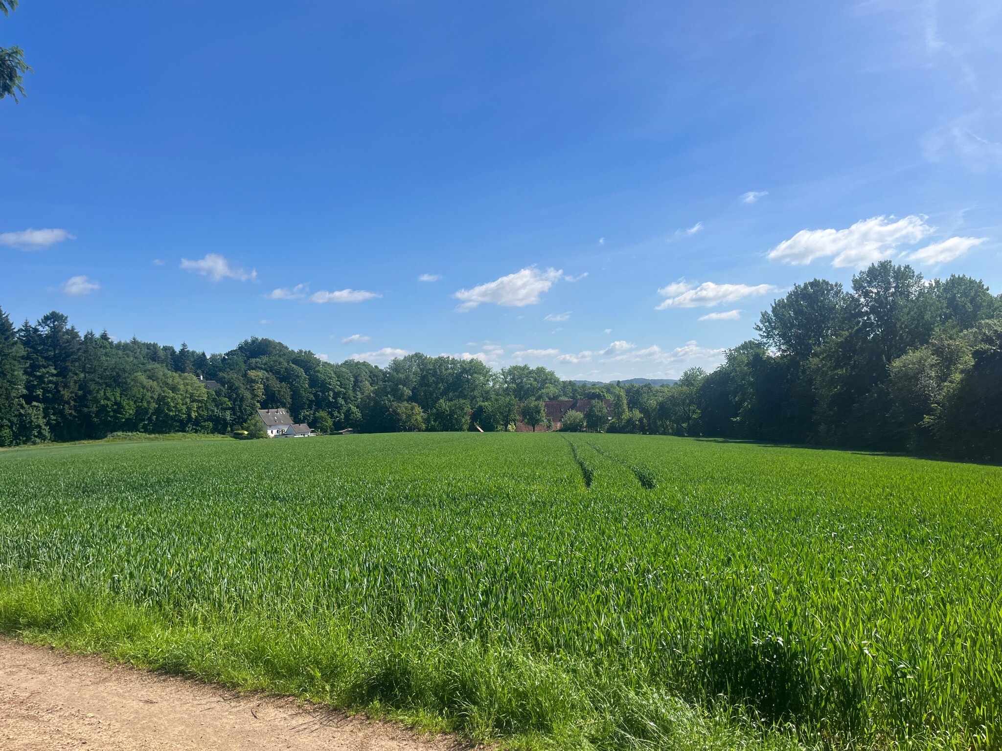 Ahornweg - Kleine Schleife